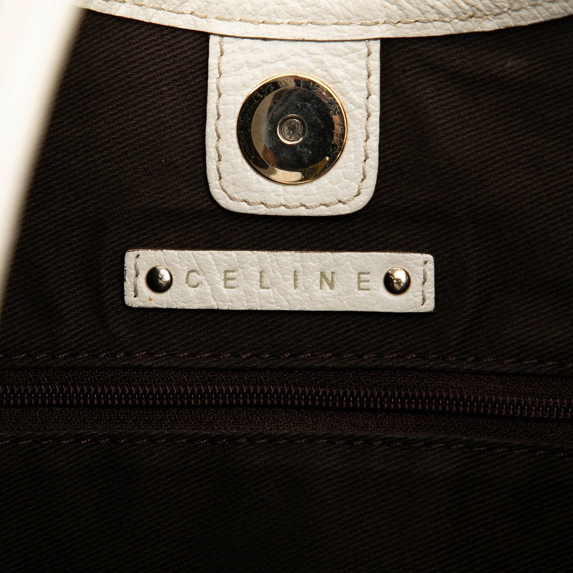 Celine Canvas Turtle Hobo