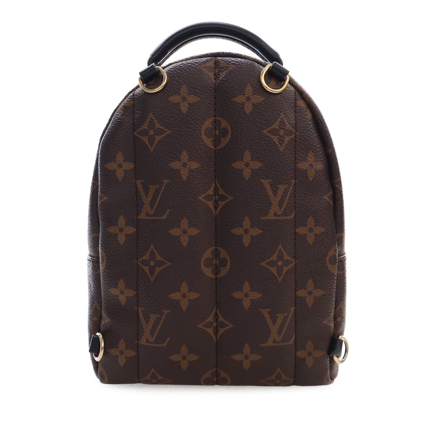 Louis Vuitton Monogram Mini Palm Springs