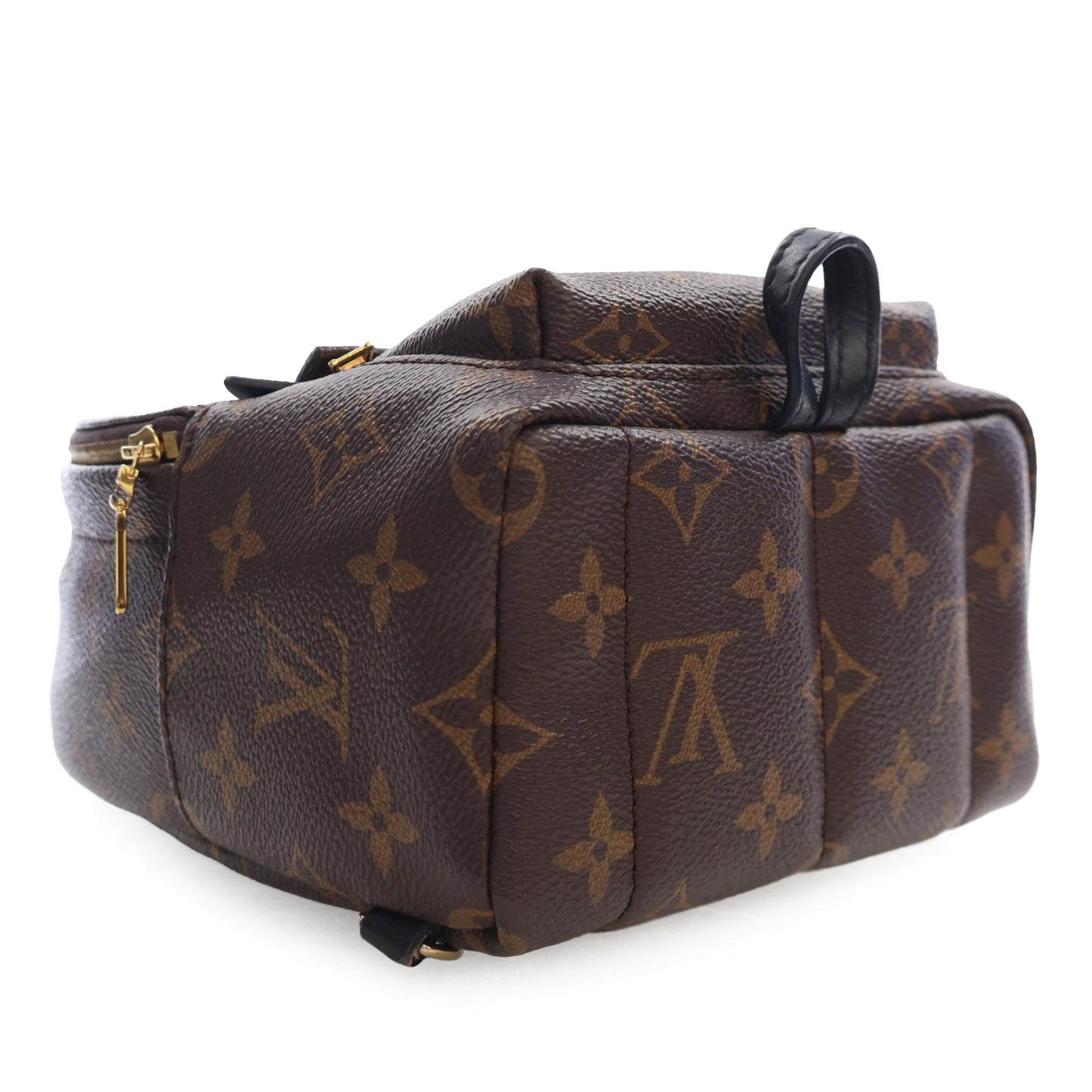 Louis Vuitton Monogram Mini Palm Springs