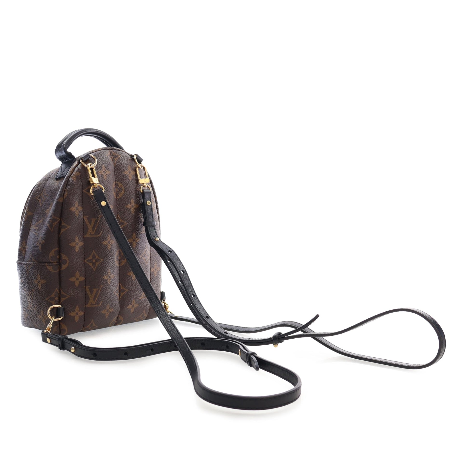 Louis Vuitton Monogram Mini Palm Springs