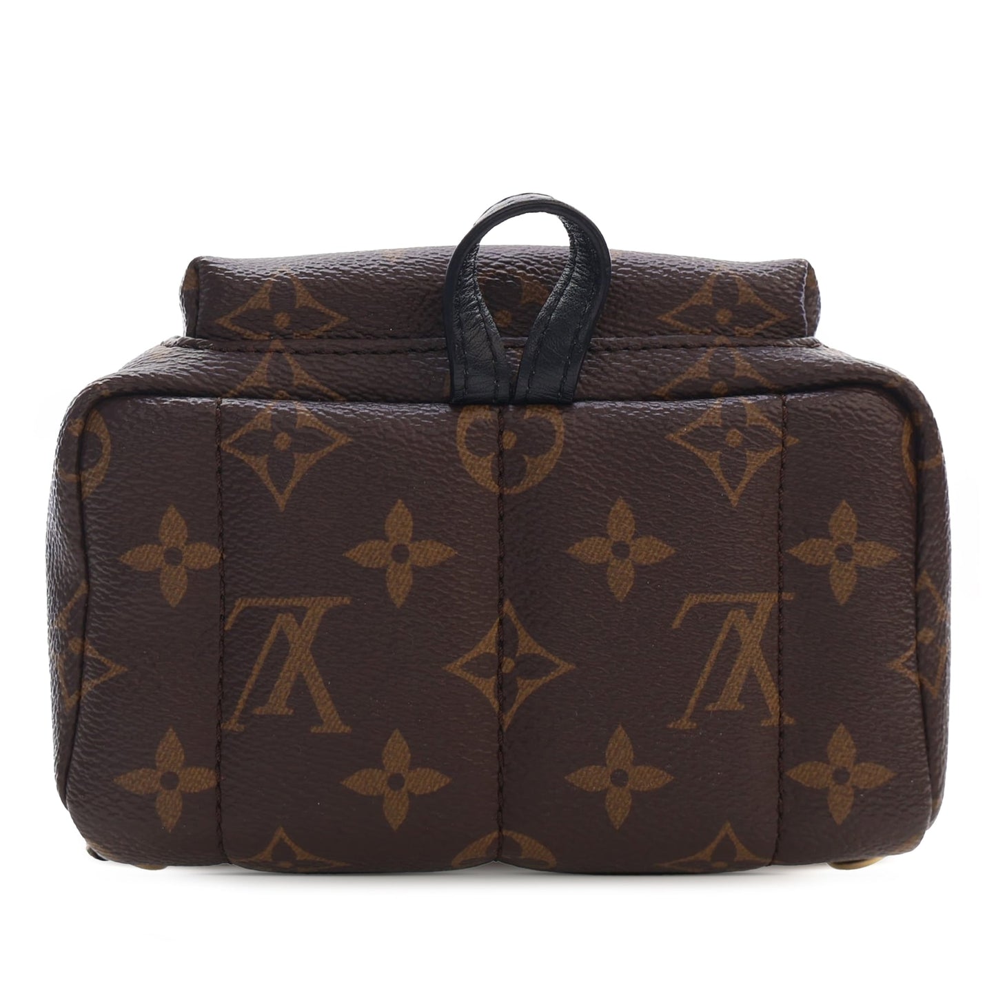 Louis Vuitton Monogram Mini Palm Springs