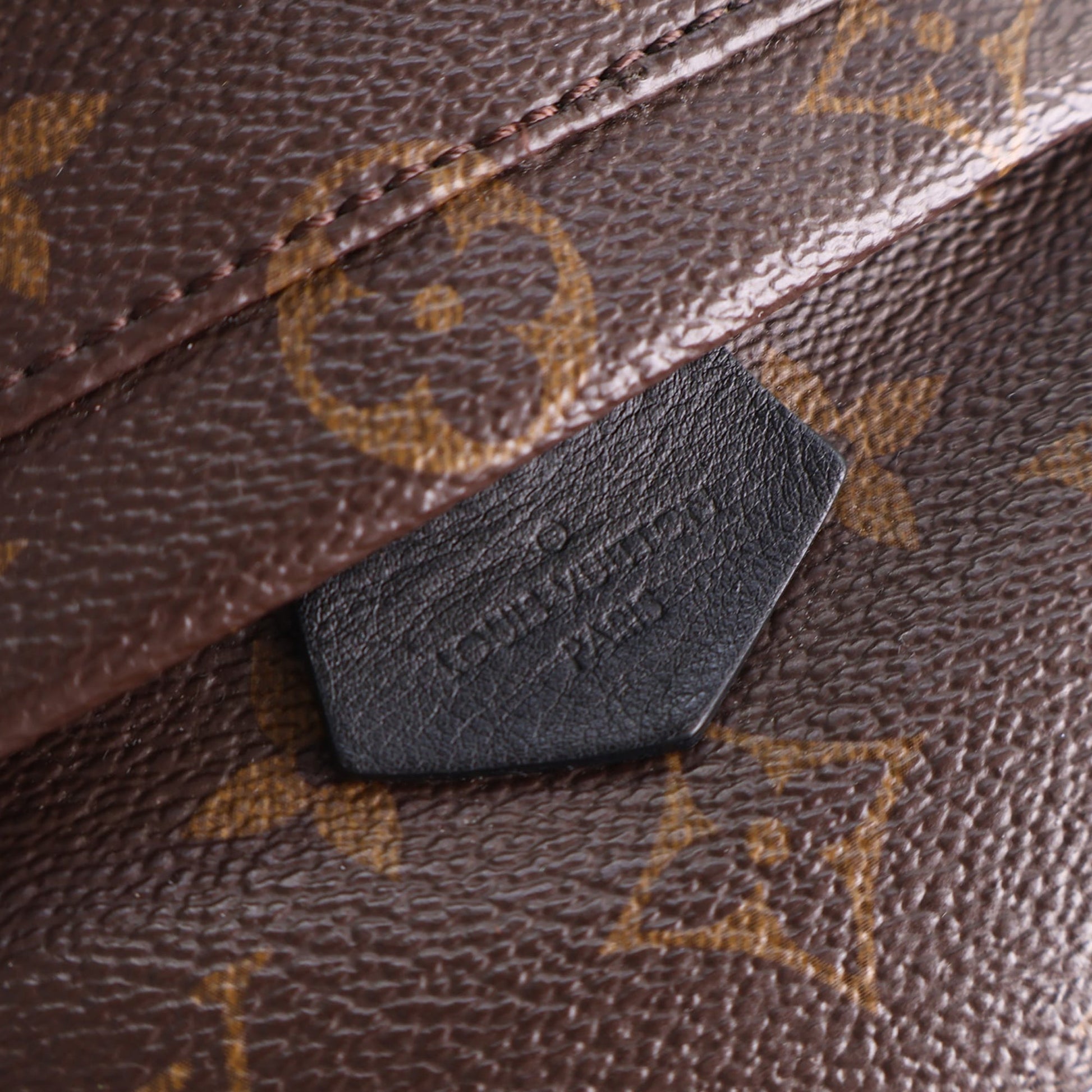 Louis Vuitton Monogram Mini Palm Springs
