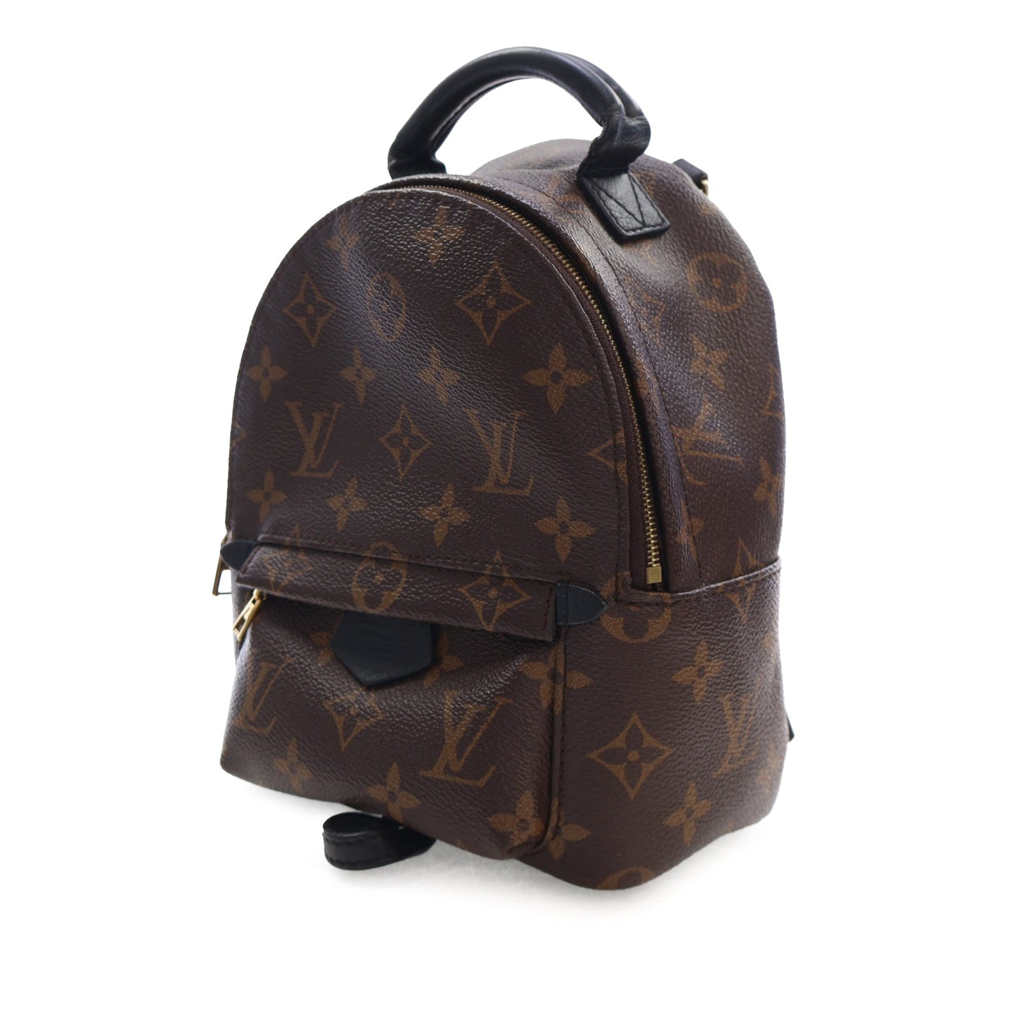 Louis Vuitton Monogram Mini Palm Springs
