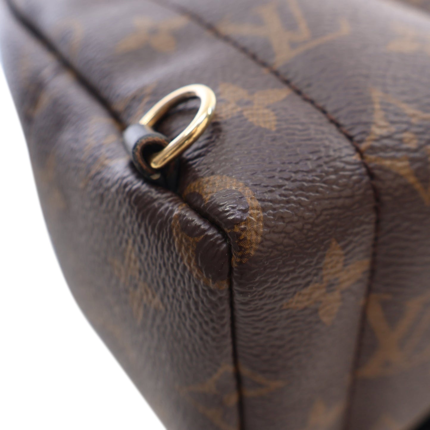Louis Vuitton Monogram Mini Palm Springs