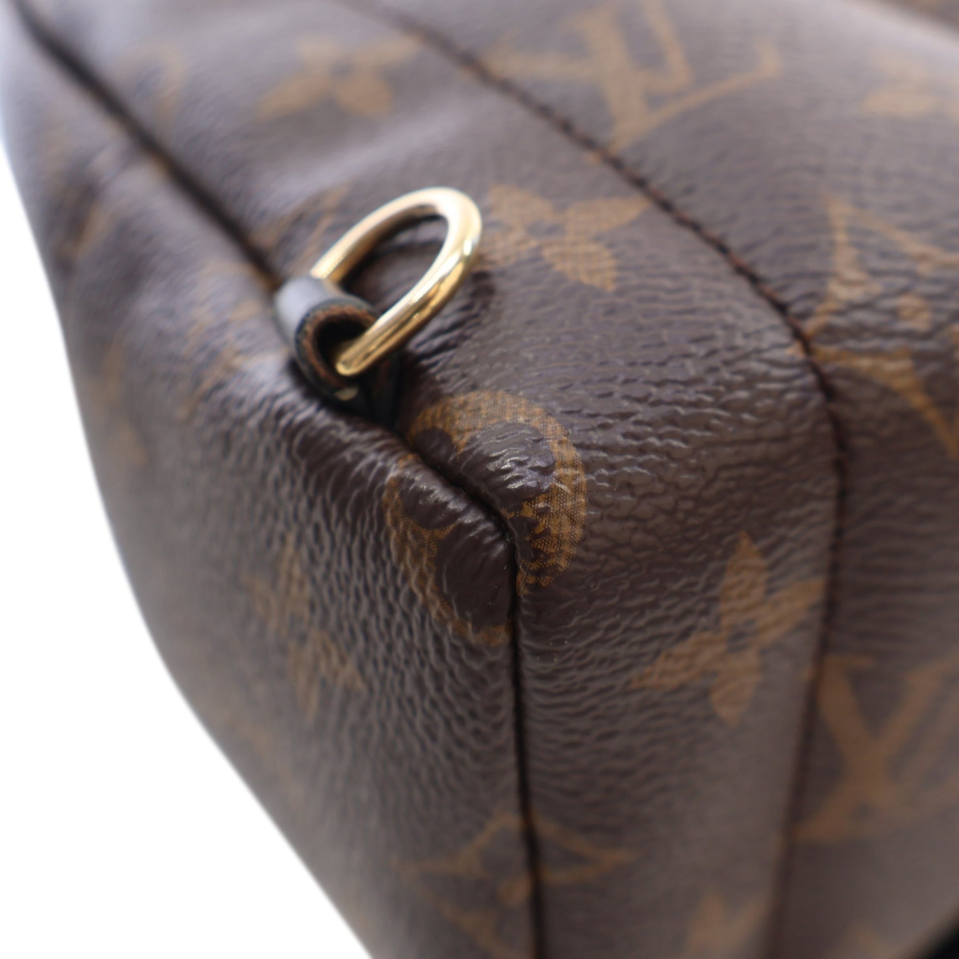 Louis Vuitton Monogram Mini Palm Springs