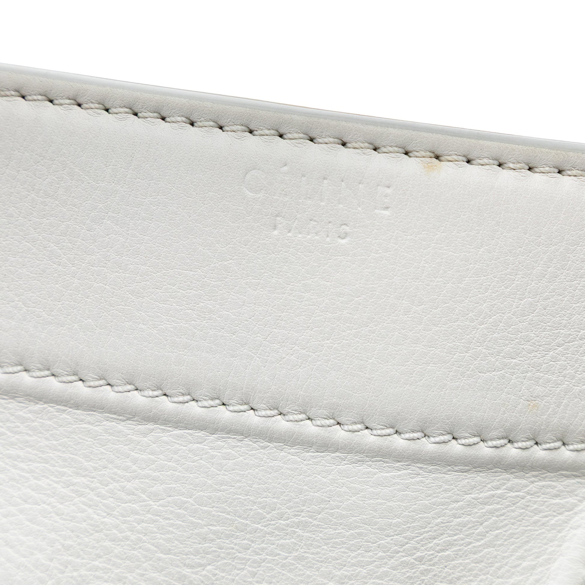 Medium Leather Phantom Luggage Tote