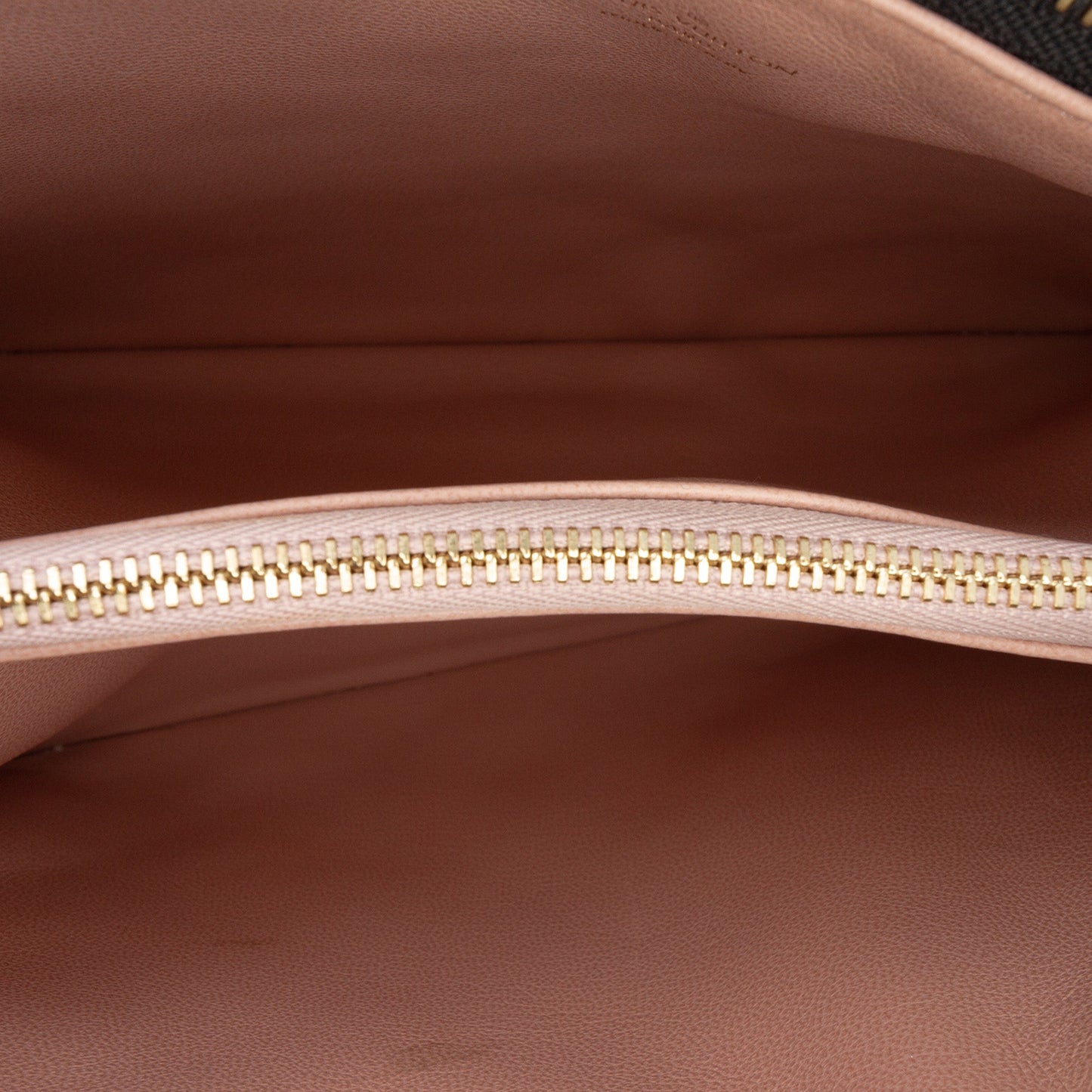 Louis Vuitton Monogram Embossed Puffy Lambskin Coussin PM
