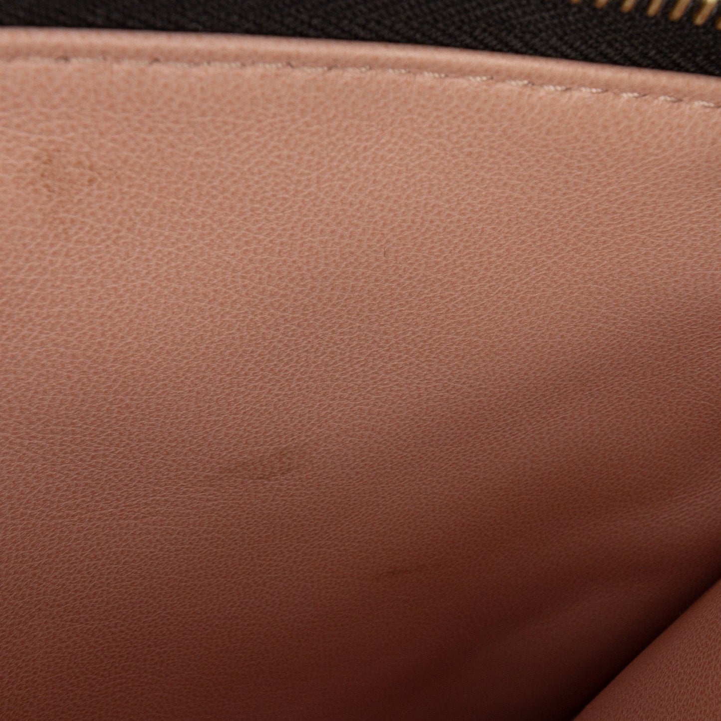 Louis Vuitton Monogram Embossed Puffy Lambskin Coussin PM