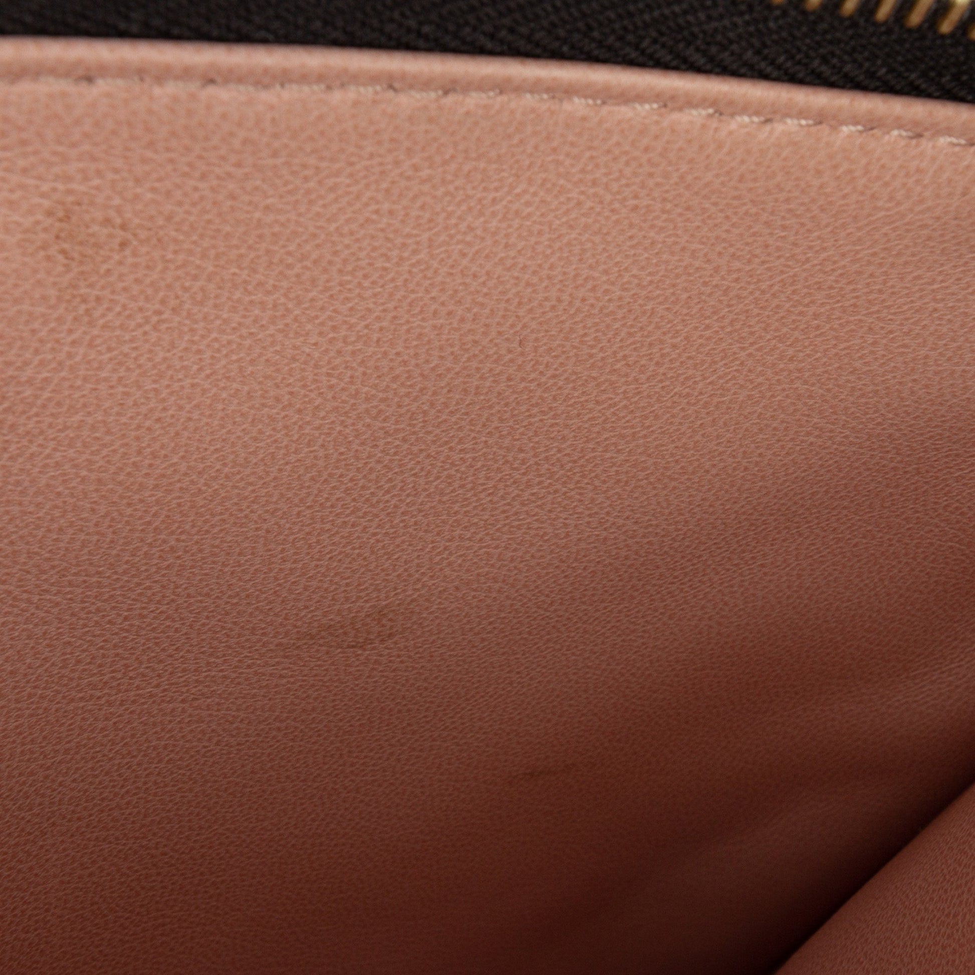 Louis Vuitton Monogram Embossed Puffy Lambskin Coussin PM