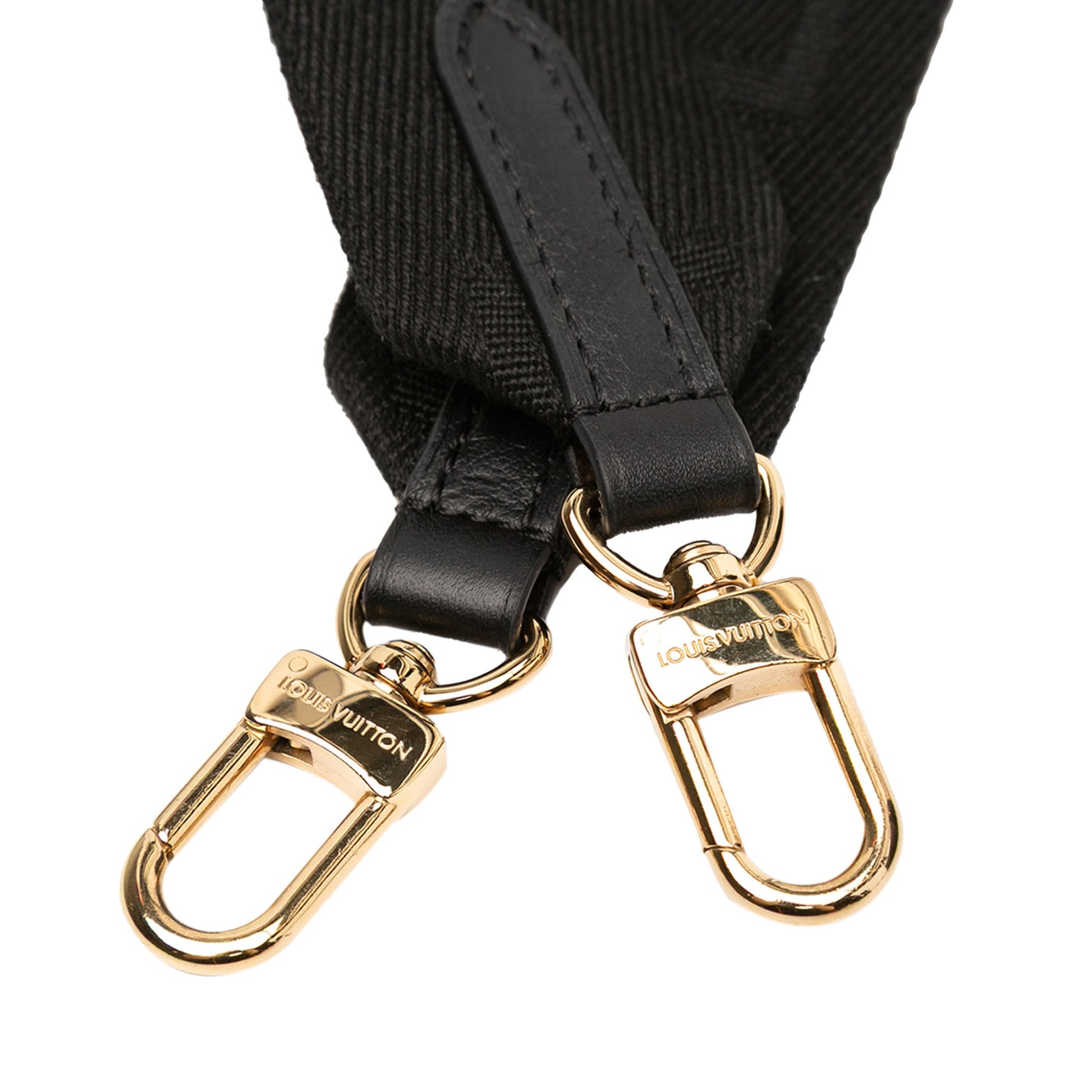 Louis Vuitton Monogram Embossed Puffy Lambskin Coussin PM