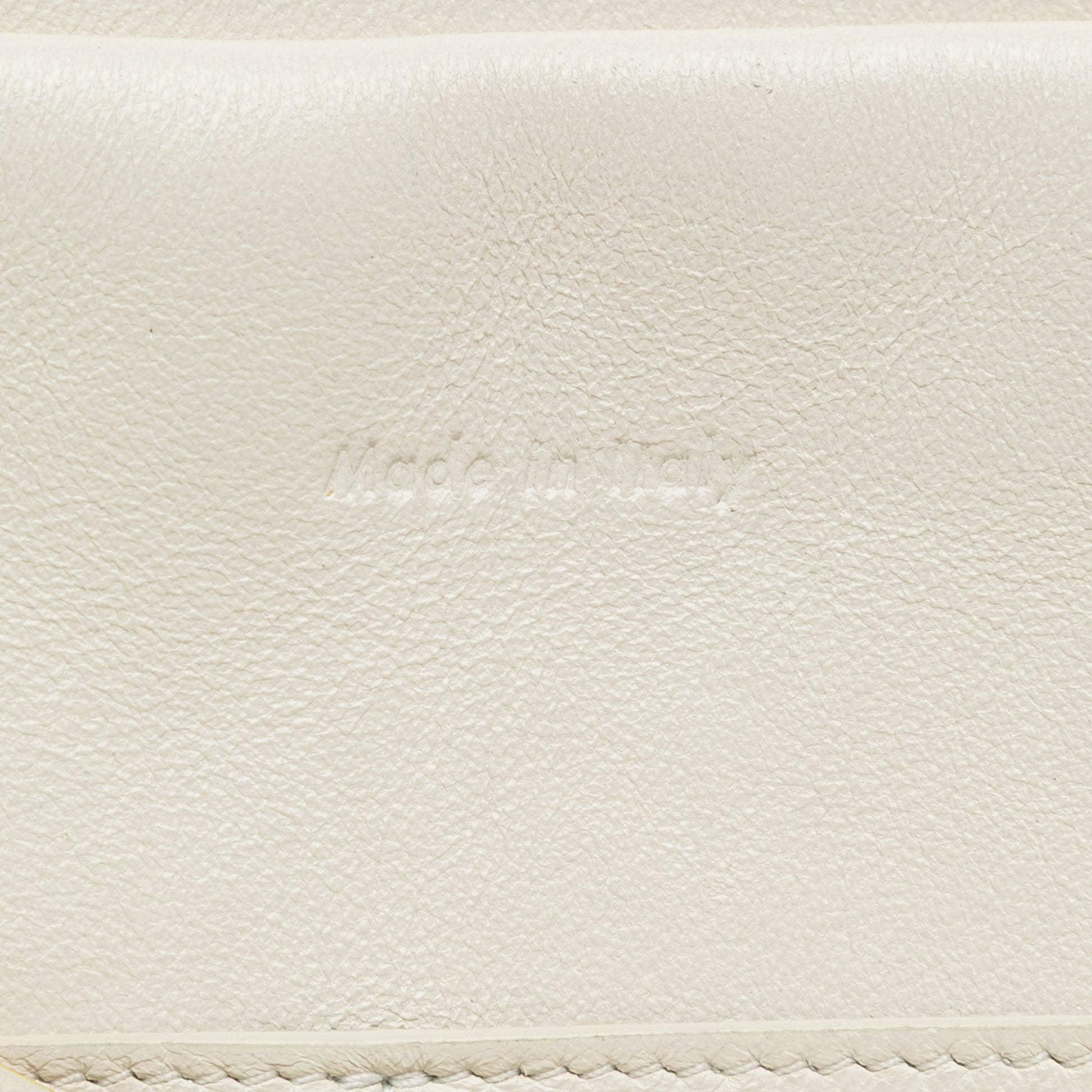 Mini Smooth Calfskin Belt Bag