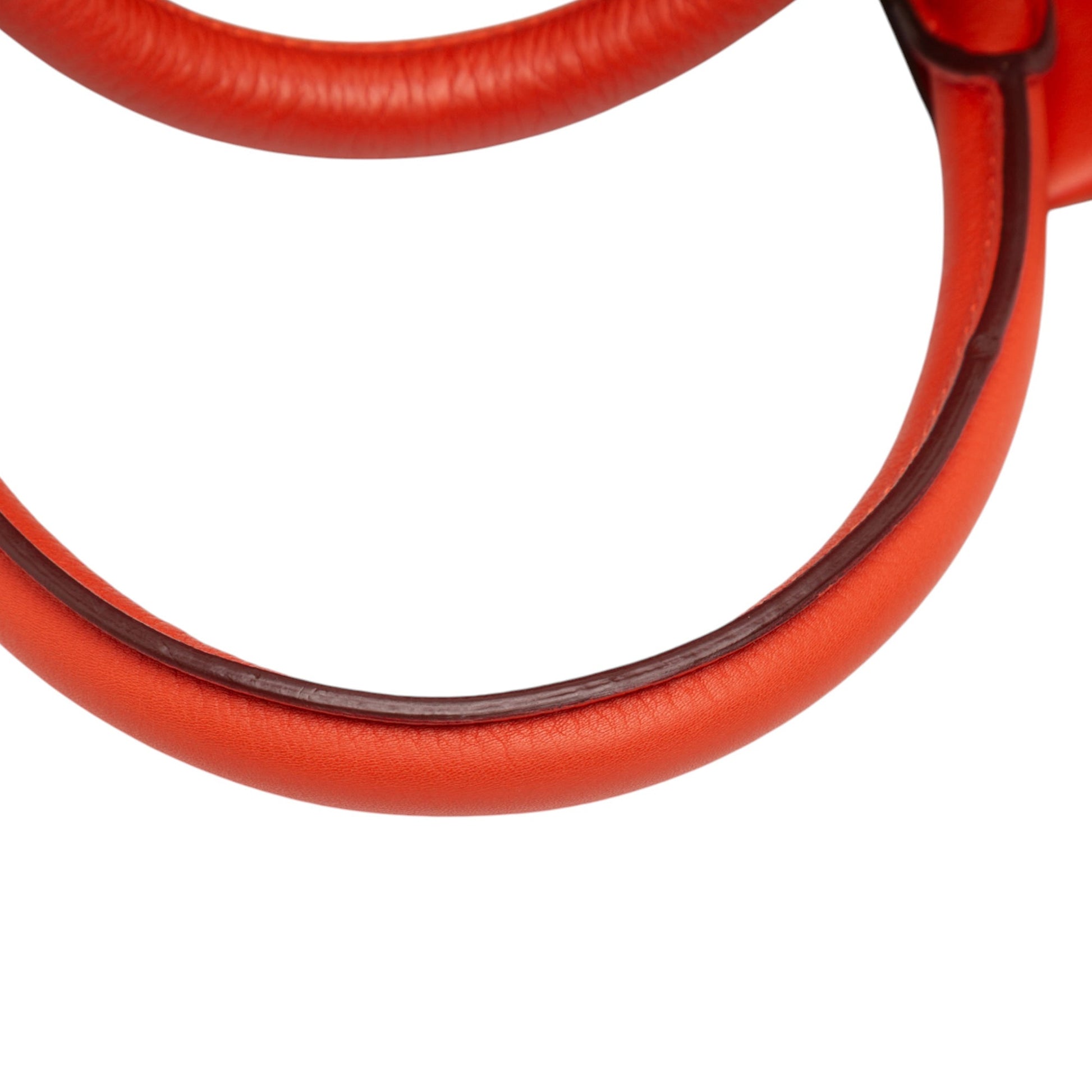 LOEWE Tricolor Leather Amazona 36