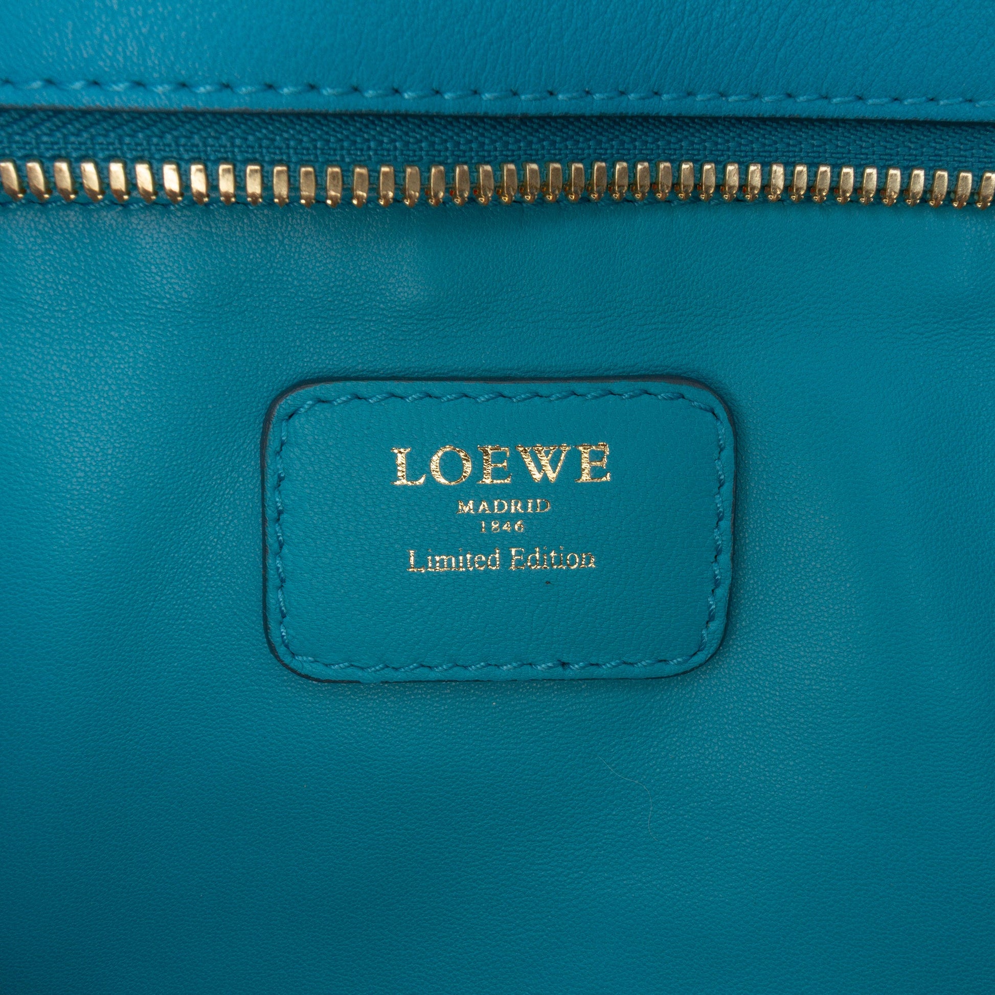 LOEWE Tricolor Leather Amazona 36
