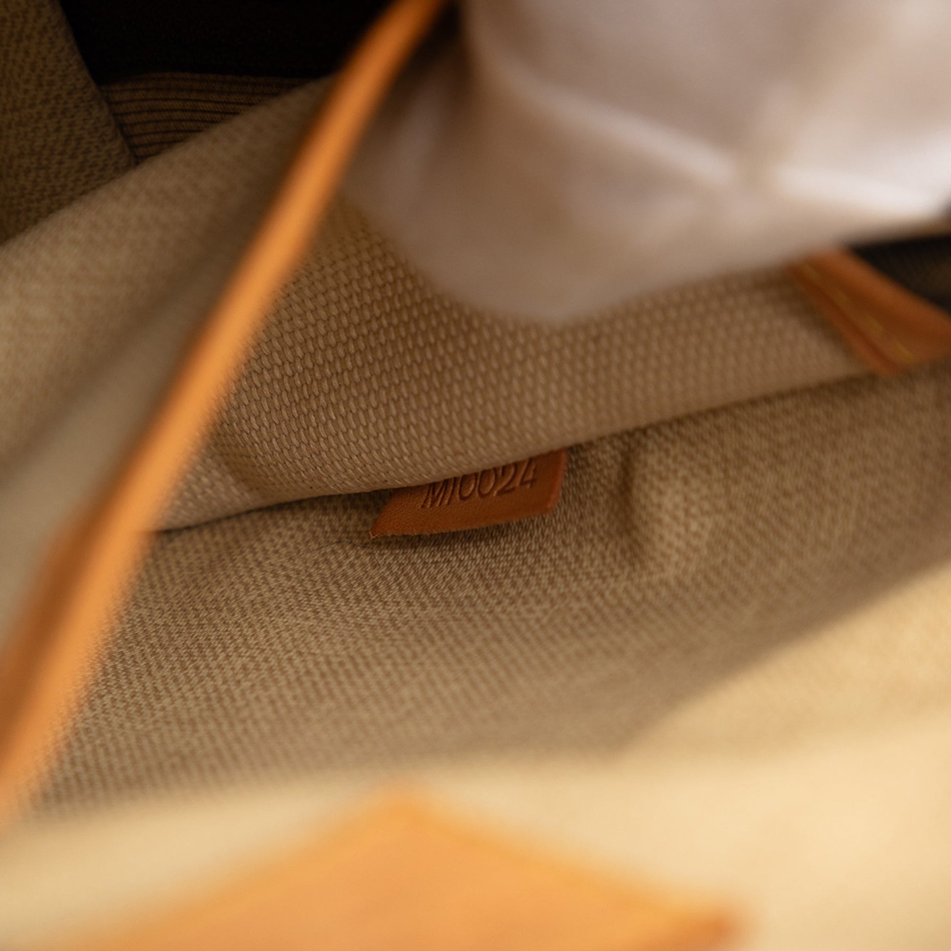 Louis Vuitton Monogram Trouville