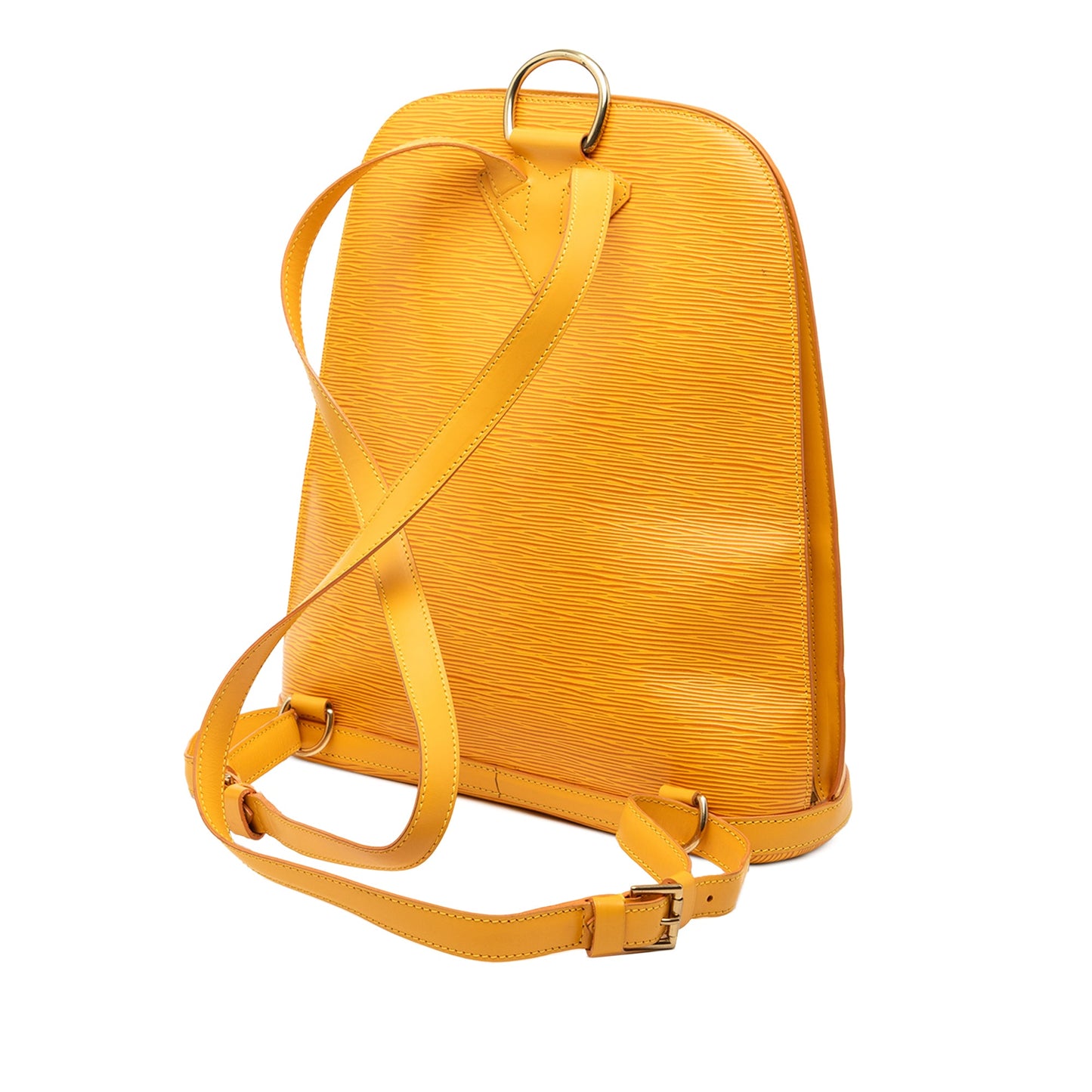Louis Vuitton Epi Gobelins