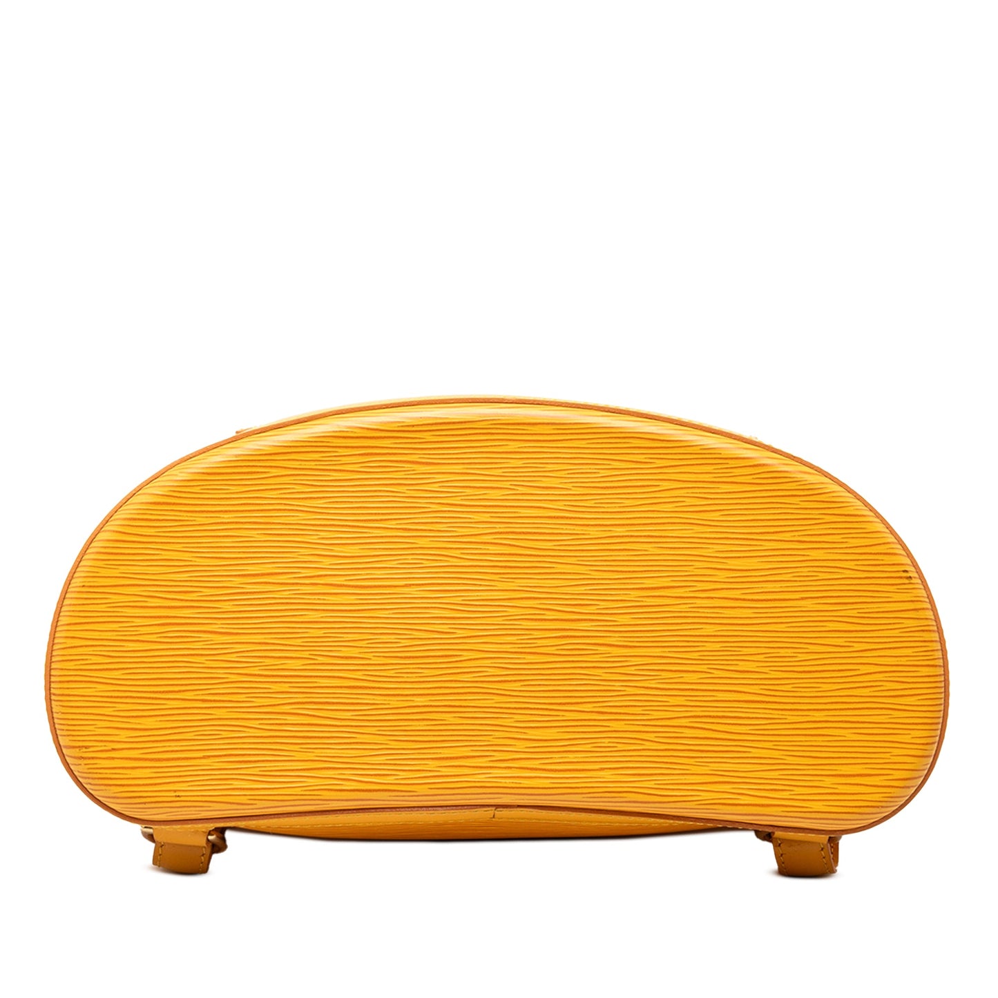 Louis Vuitton Epi Gobelins