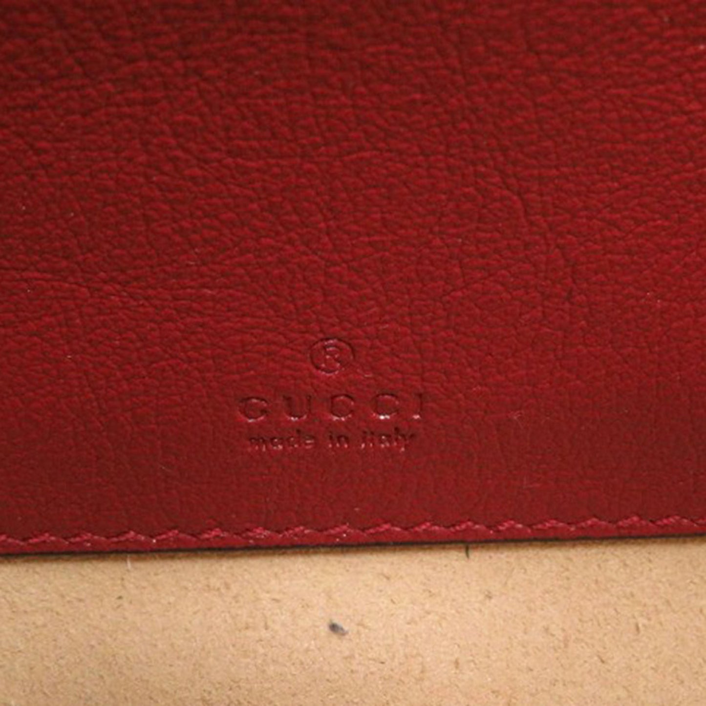 Gucci Mini Calfskin Rajah Web Chain Crossbody