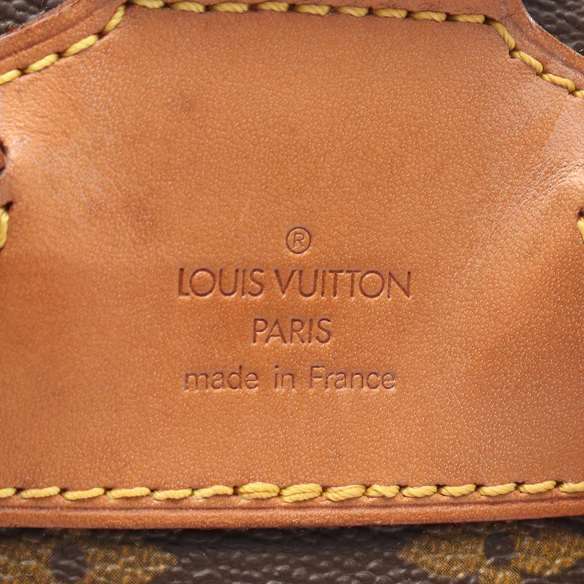 Louis Vuitton Monogram Montsouris MM