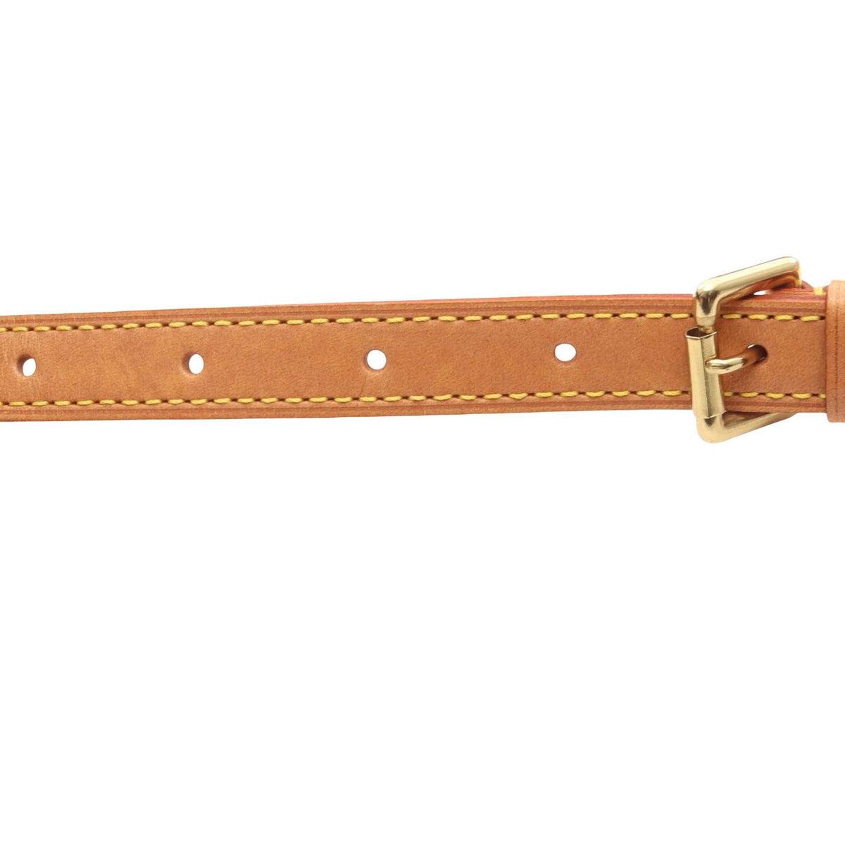 Louis Vuitton Monogram Viva Cite PM