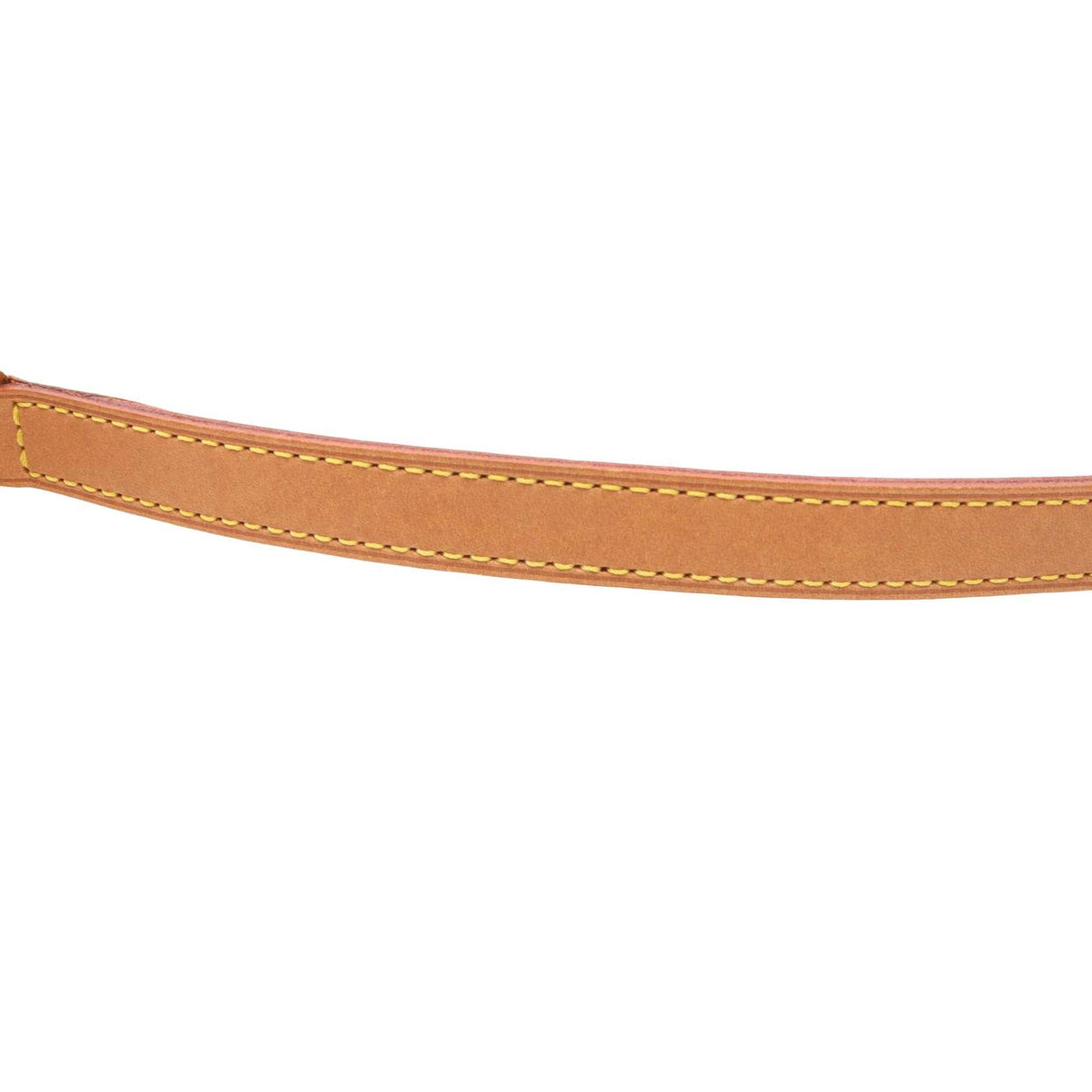 Louis Vuitton Monogram Viva Cite PM