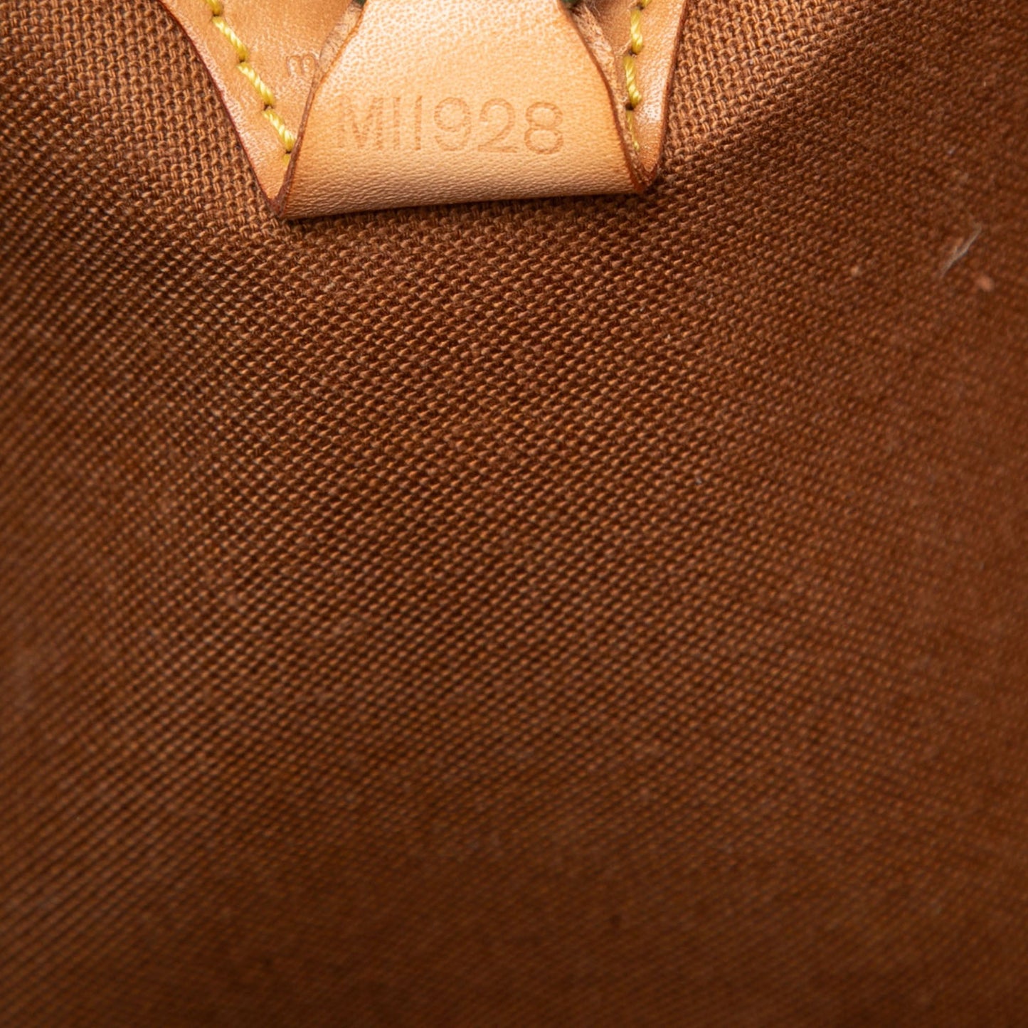 Louis Vuitton Monogram Ellipse MM
