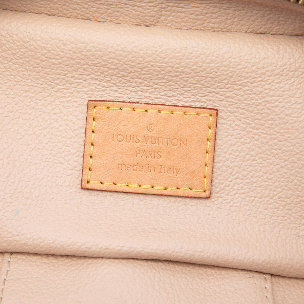Louis Vuitton Monogram Nice Nano Vanity Case