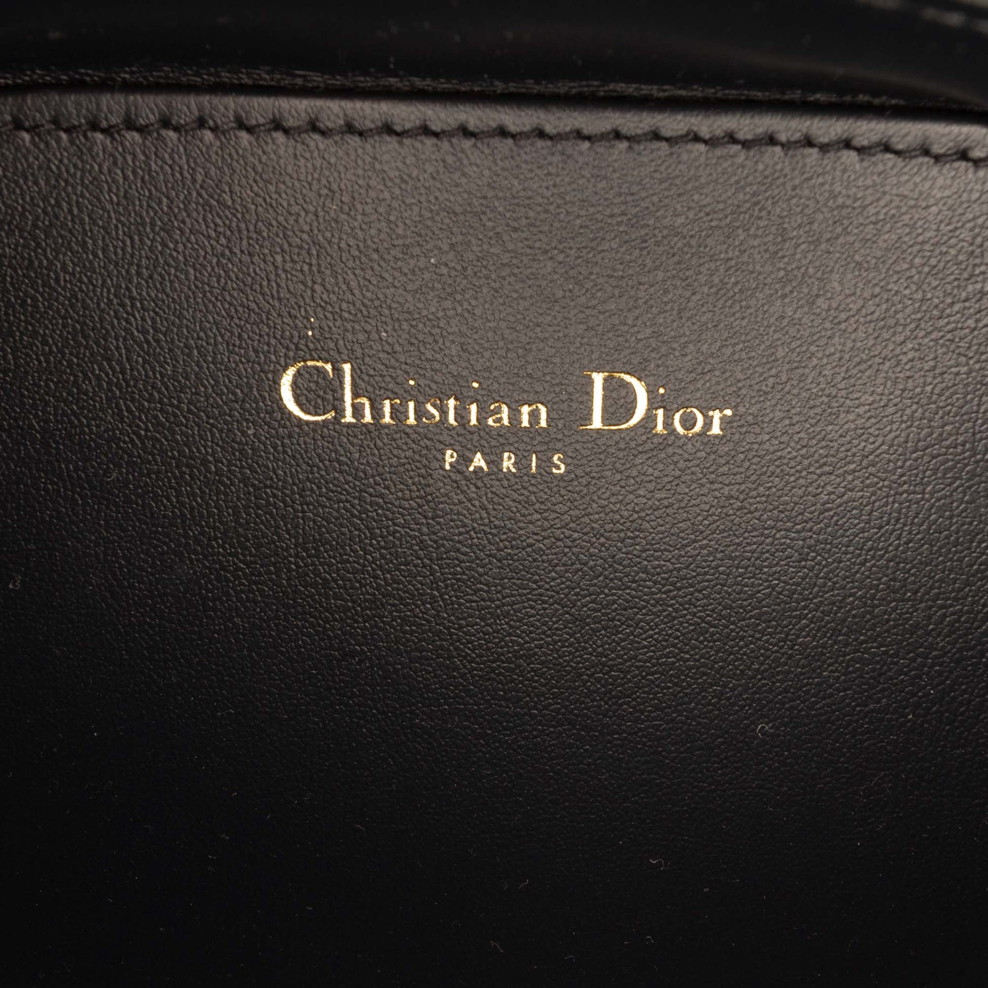 Dior Leather and Oblique Canvas CD Oval Camera Bag