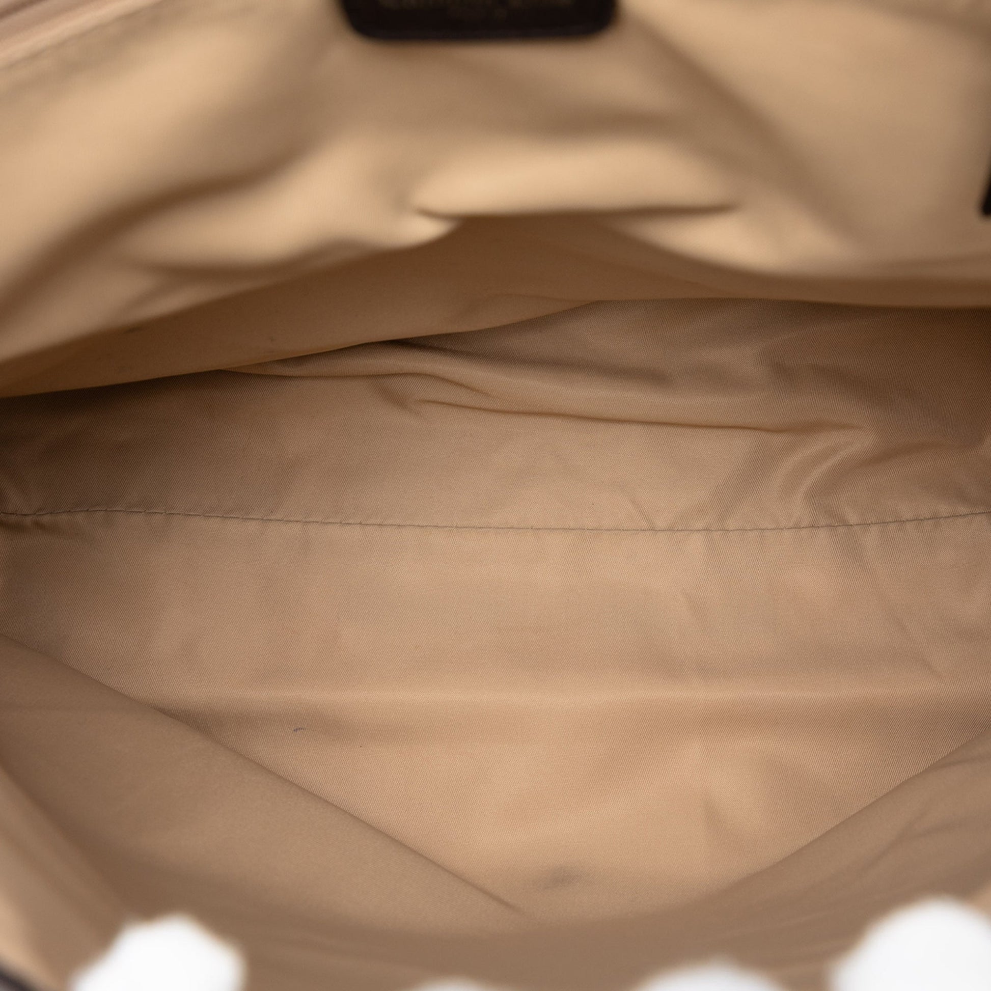 Dior Diorissimo Trotter Canvas Street Chic Crossbody