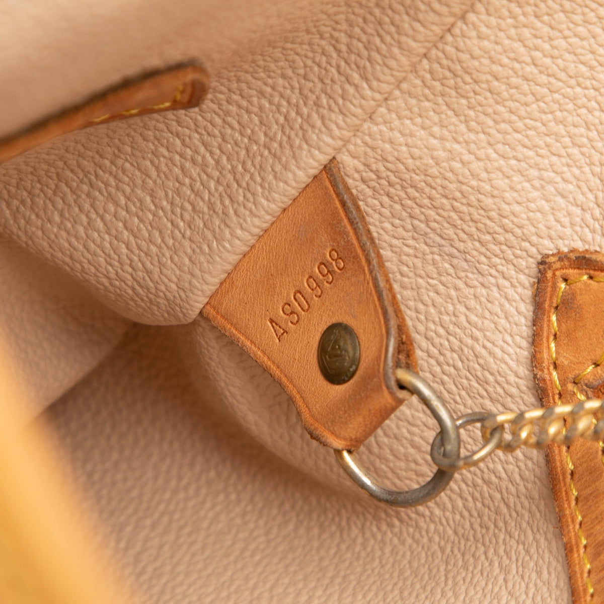 Louis Vuitton Monogram Petit Bucket