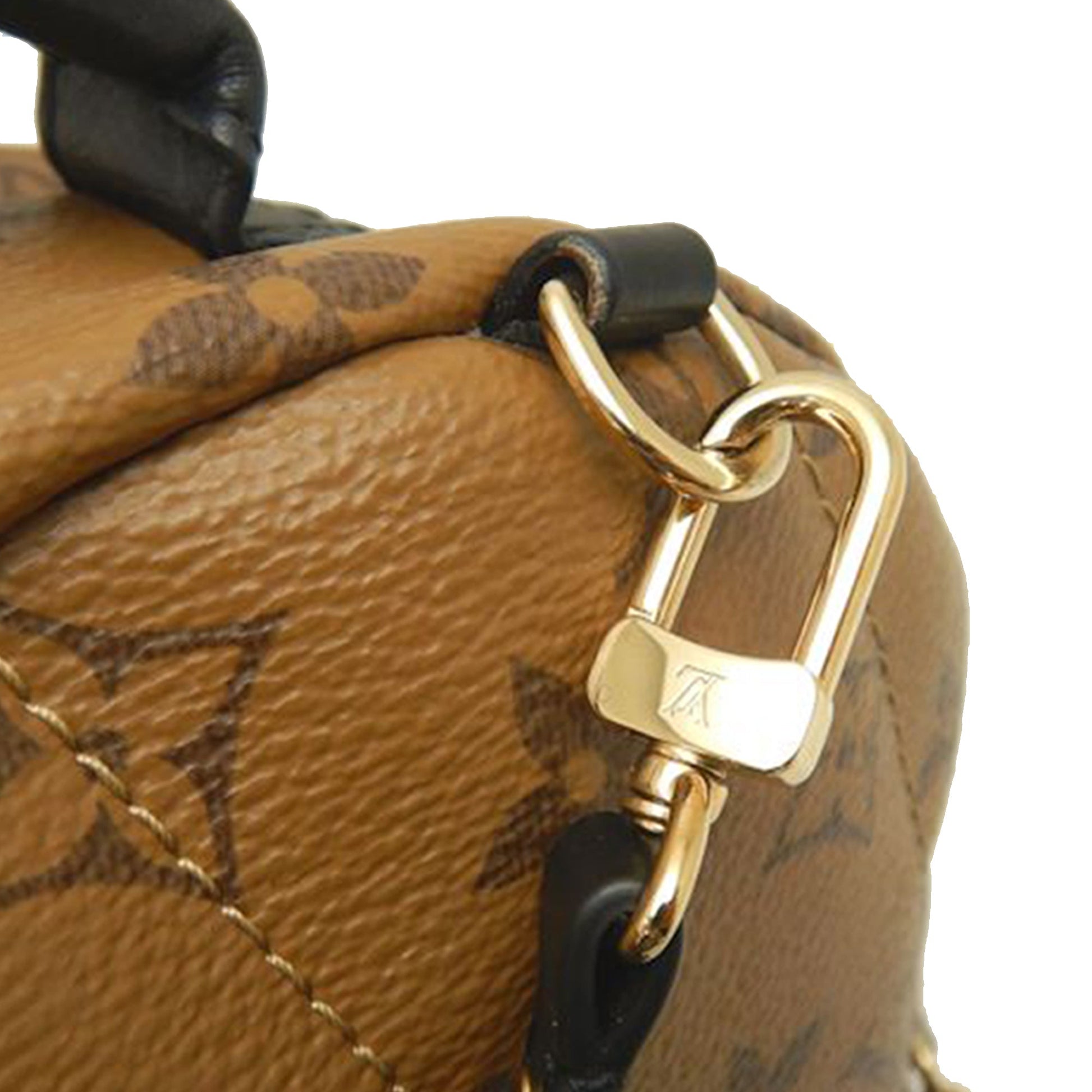 Louis Vuitton Monogram Reverse Mini Palm Springs
