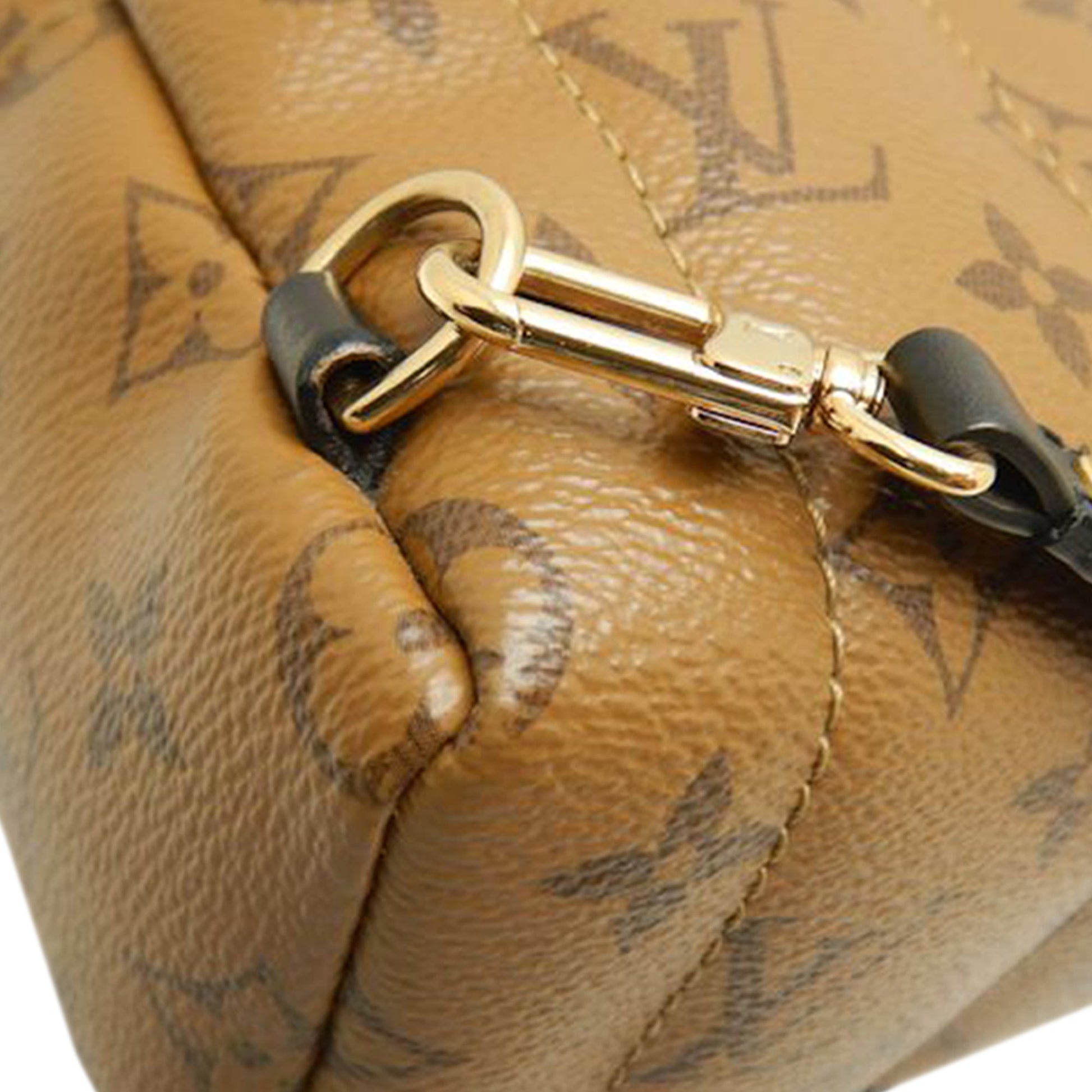 Louis Vuitton Monogram Reverse Mini Palm Springs