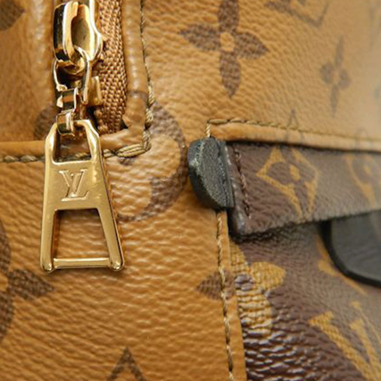 Louis Vuitton Monogram Reverse Mini Palm Springs
