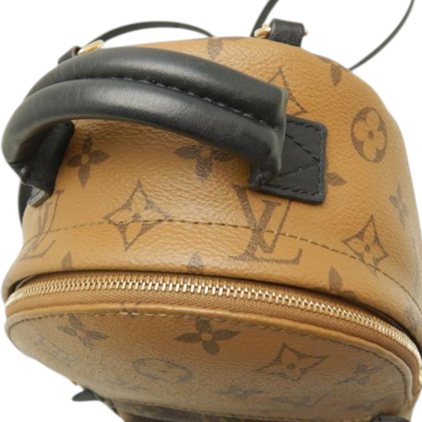 Louis Vuitton Monogram Reverse Mini Palm Springs