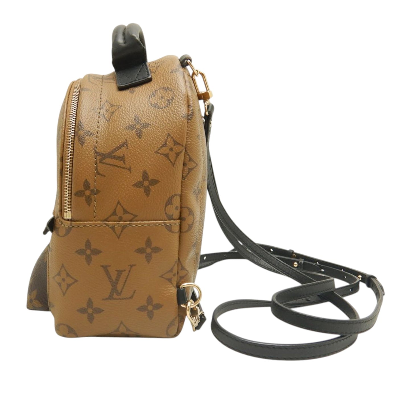Louis Vuitton Monogram Reverse Mini Palm Springs