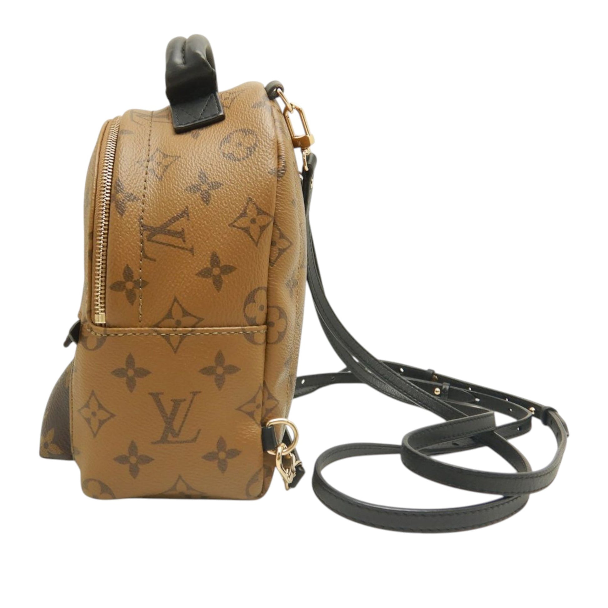 Louis Vuitton Monogram Reverse Mini Palm Springs