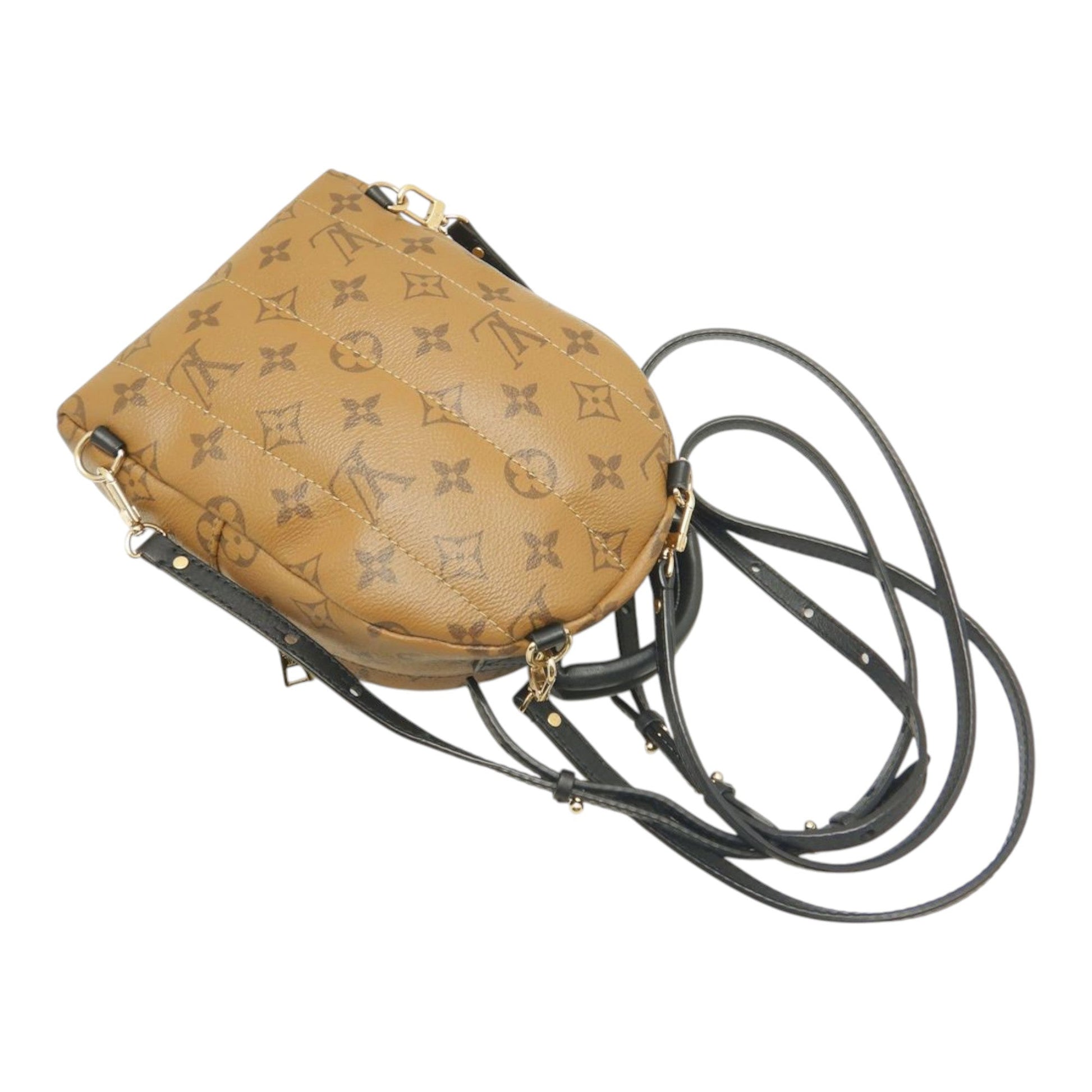 Louis Vuitton Monogram Reverse Mini Palm Springs