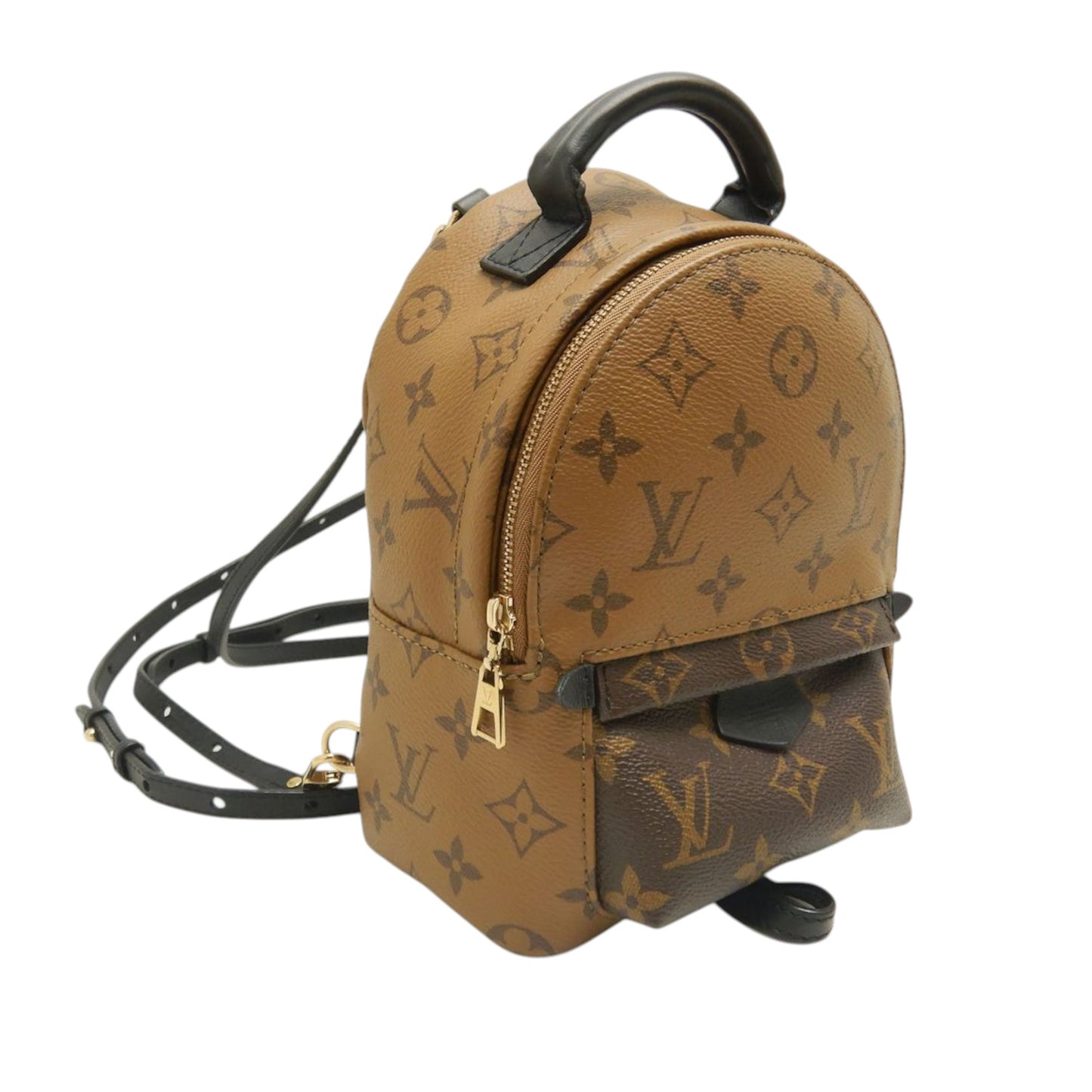 Louis Vuitton Monogram Reverse Mini Palm Springs