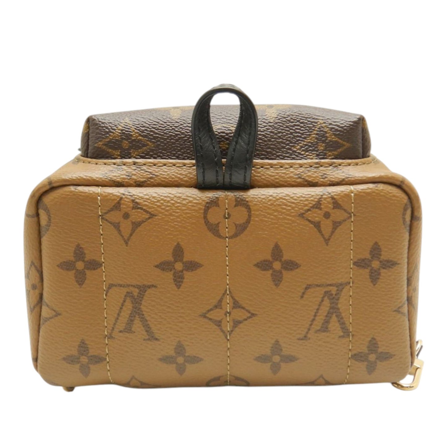 Louis Vuitton Monogram Reverse Mini Palm Springs