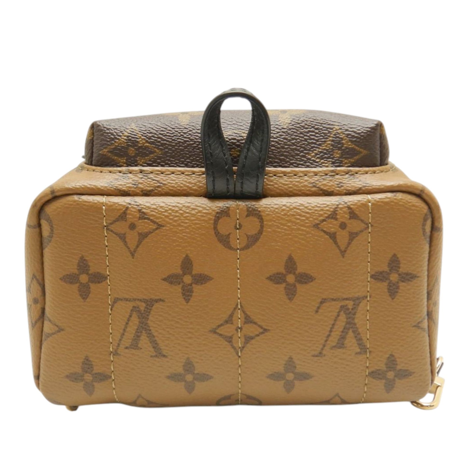 Louis Vuitton Monogram Reverse Mini Palm Springs