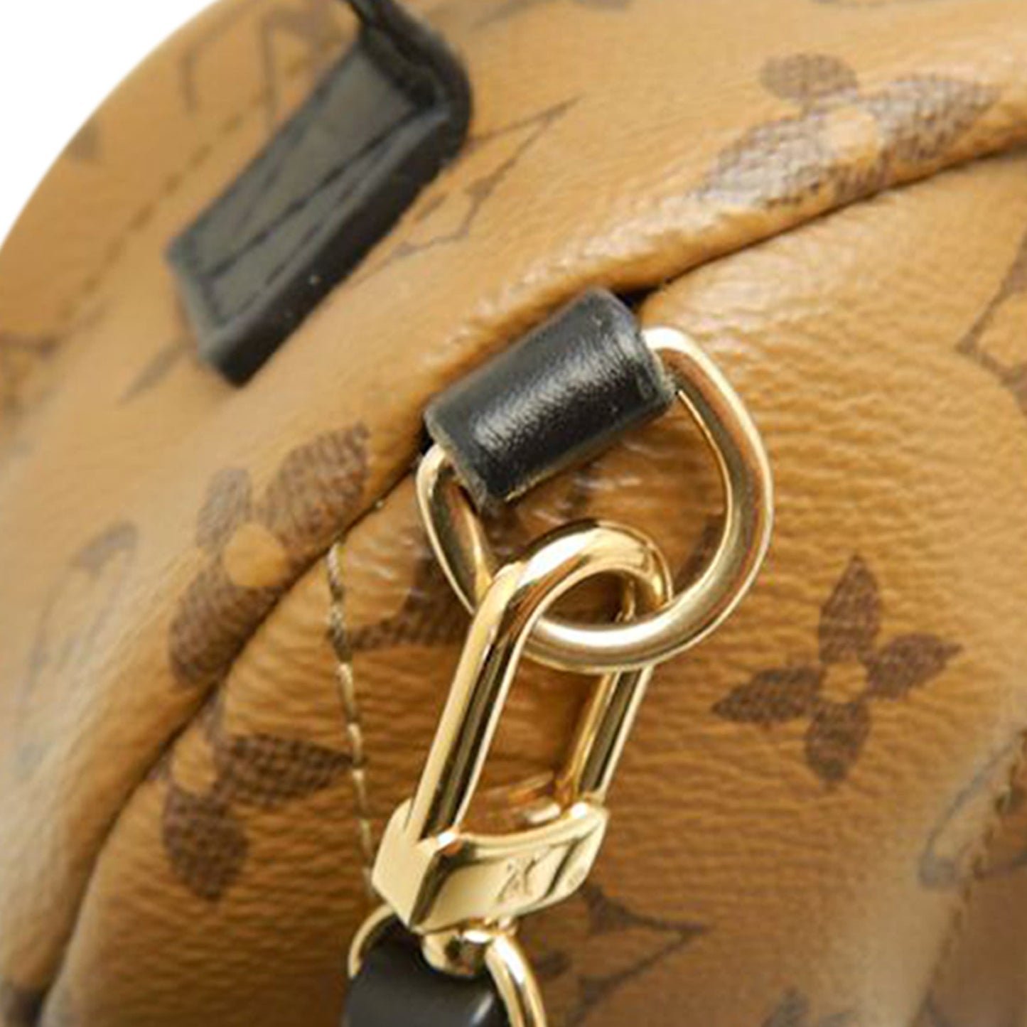 Louis Vuitton Monogram Reverse Mini Palm Springs