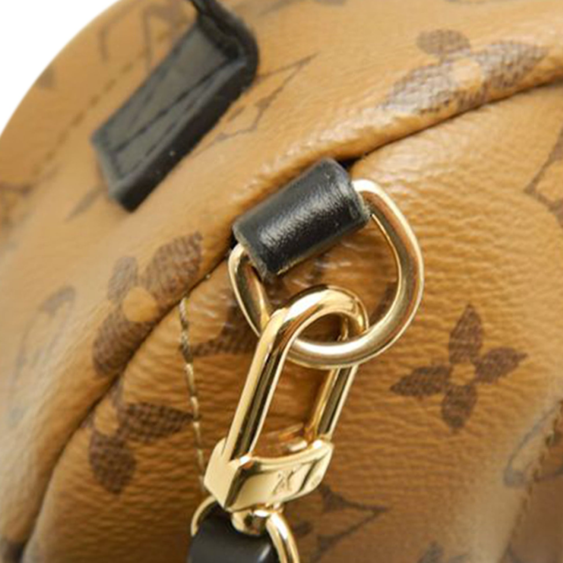 Louis Vuitton Monogram Reverse Mini Palm Springs