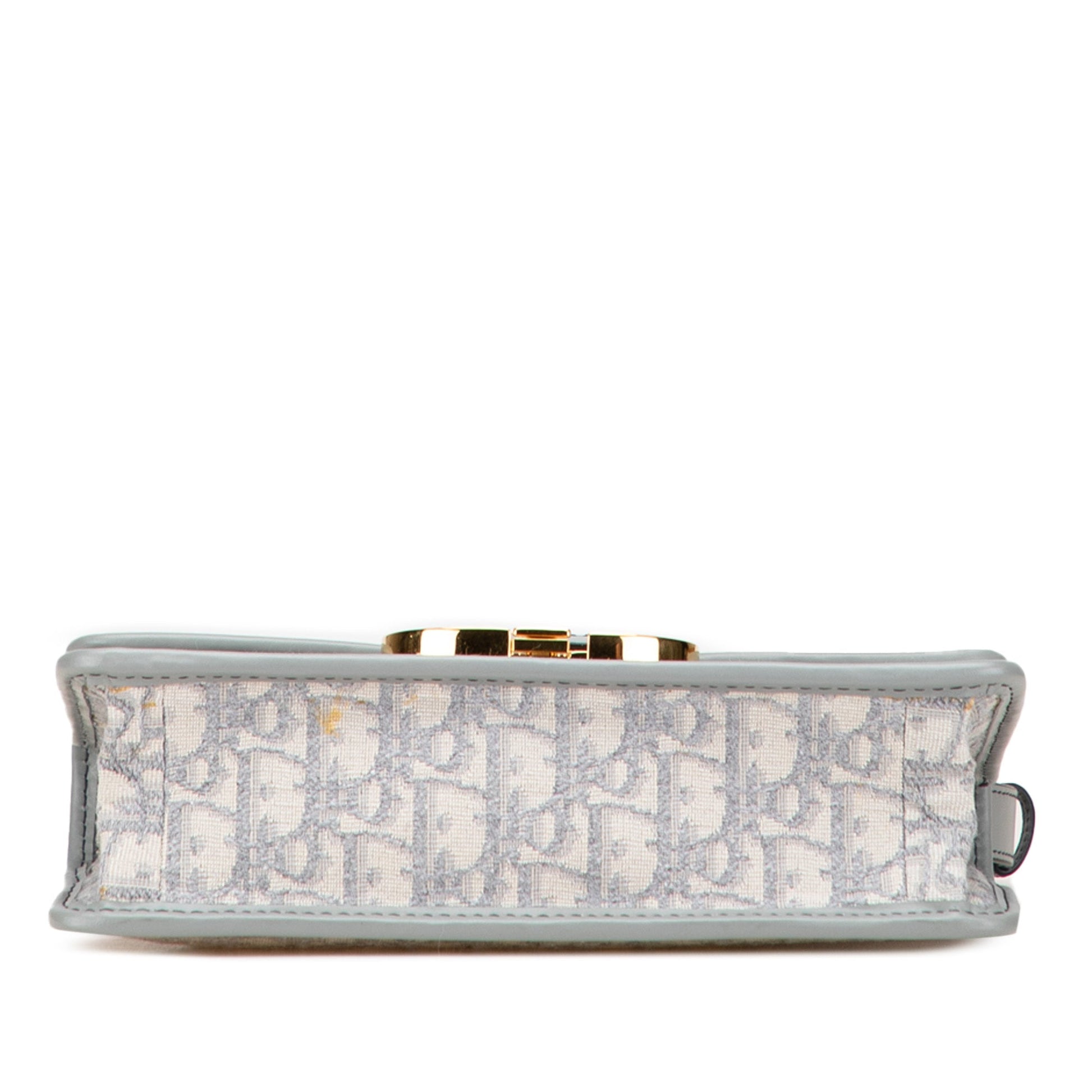Dior Medium Oblique Canvas 30 Montaigne Bag