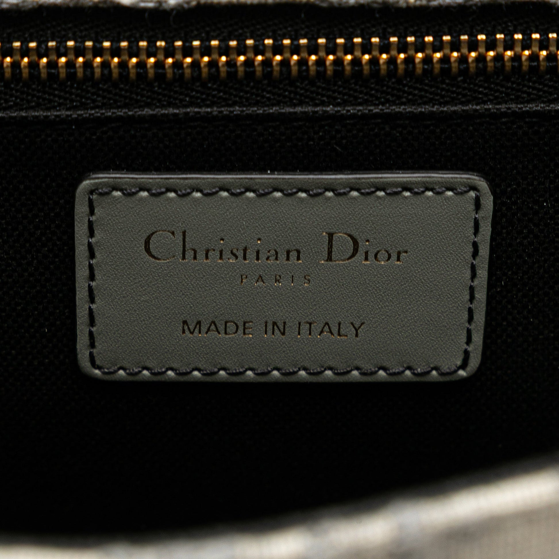 Dior Medium Oblique Canvas 30 Montaigne Bag
