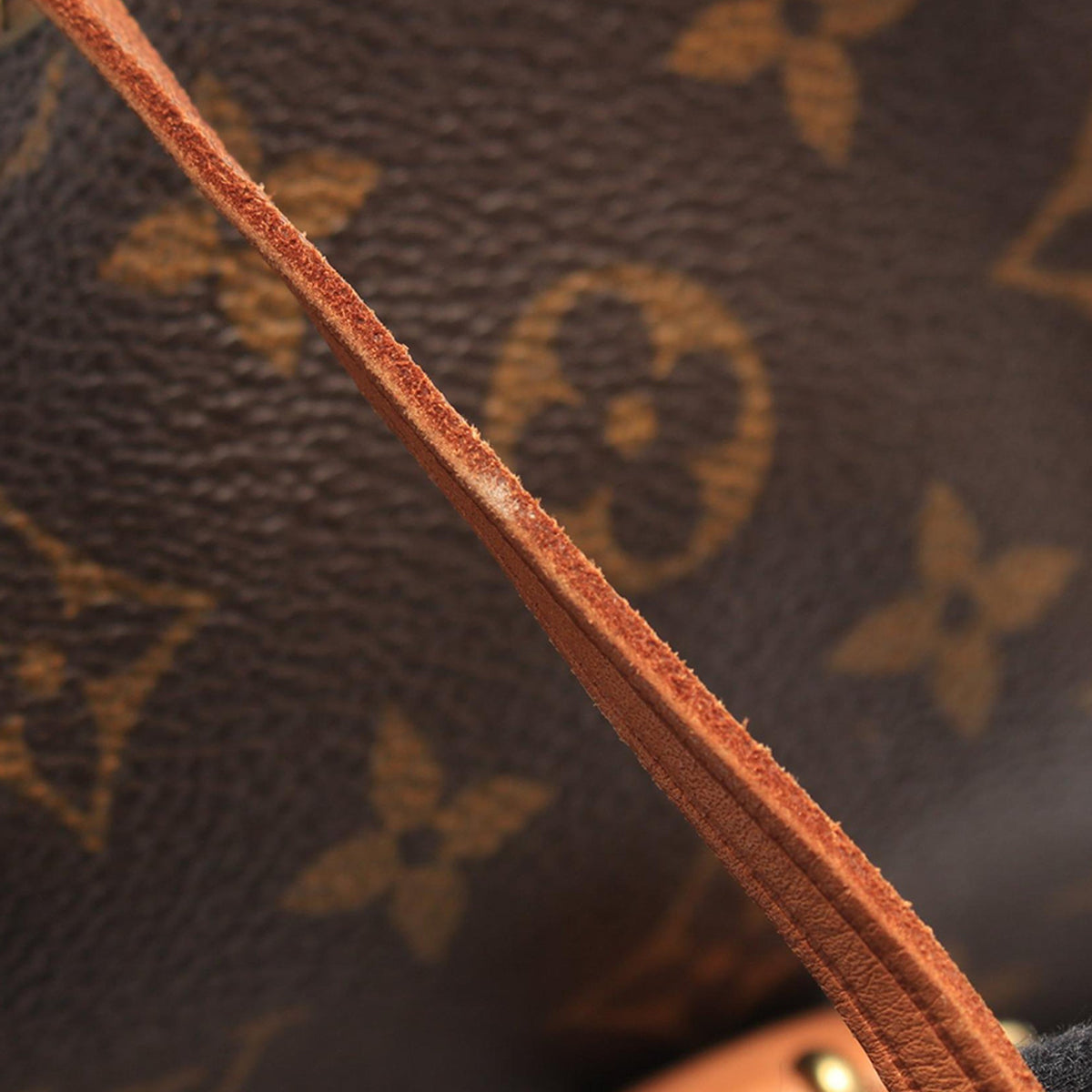 Louis Vuitton Monogram Montsouris MM — Brown