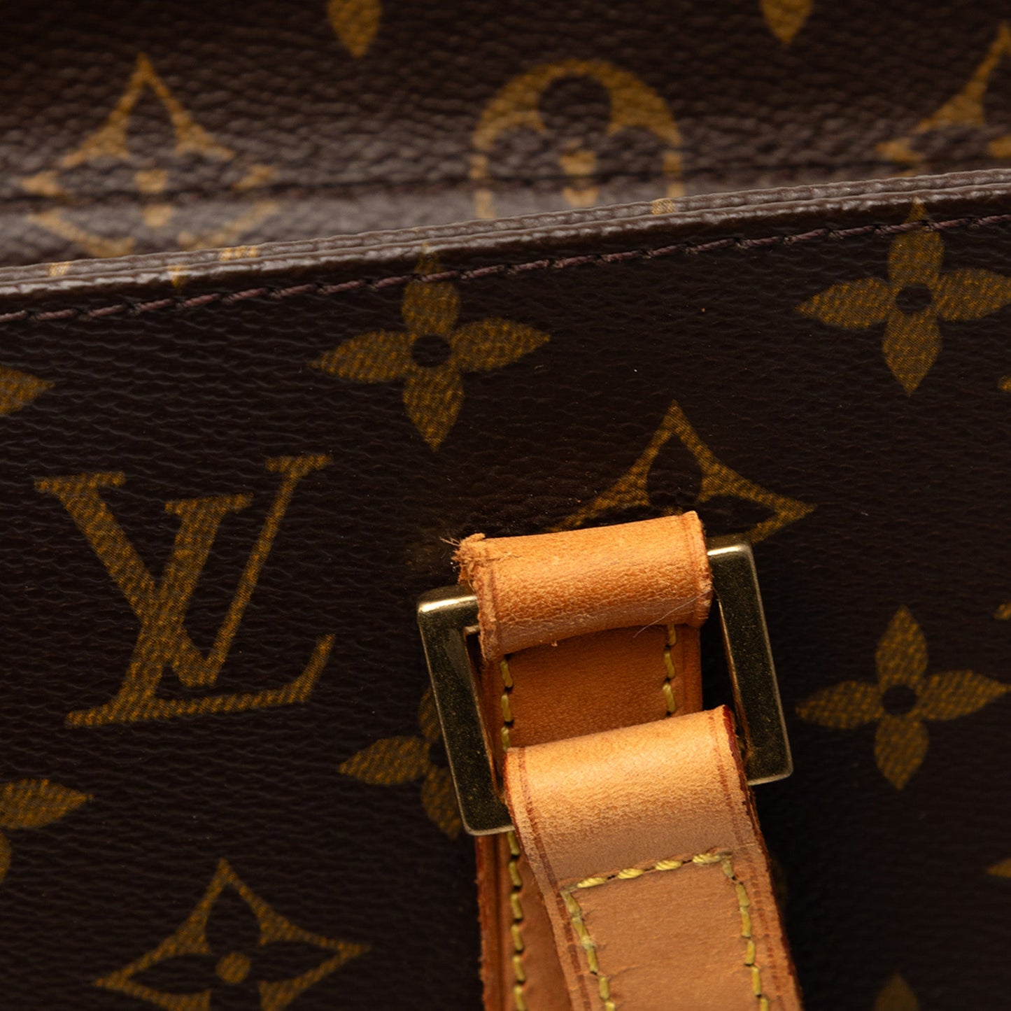 Louis Vuitton Monogram Luco