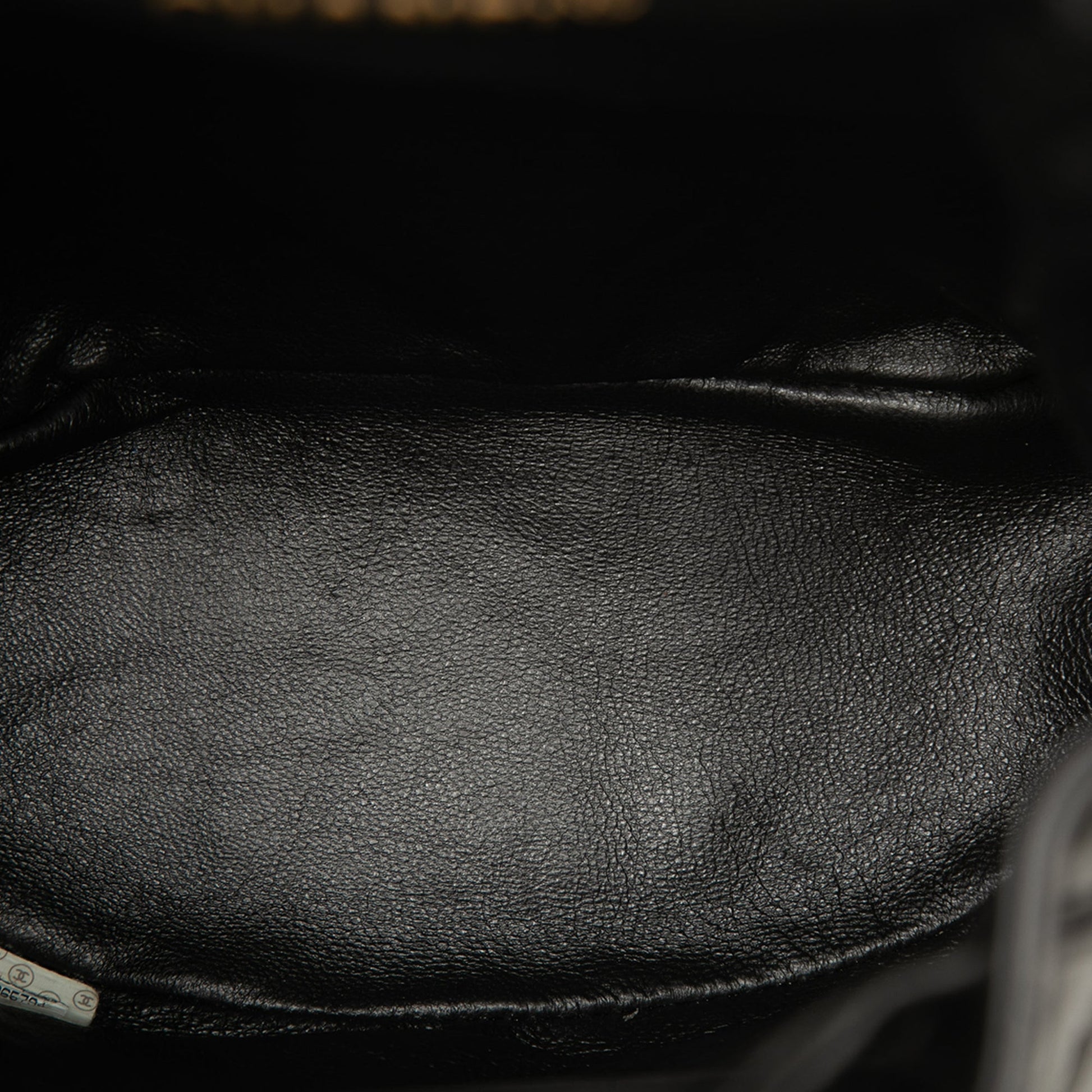 Chanel Medium Quilted Lambskin Duma Backpack