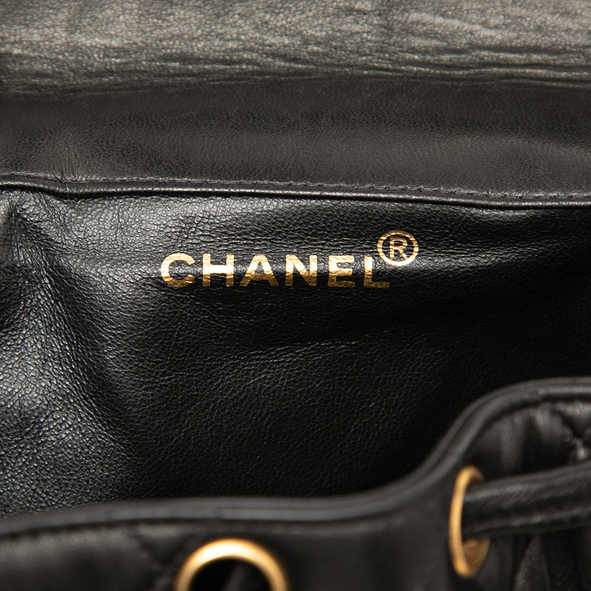 Chanel Medium Quilted Lambskin Duma Backpack