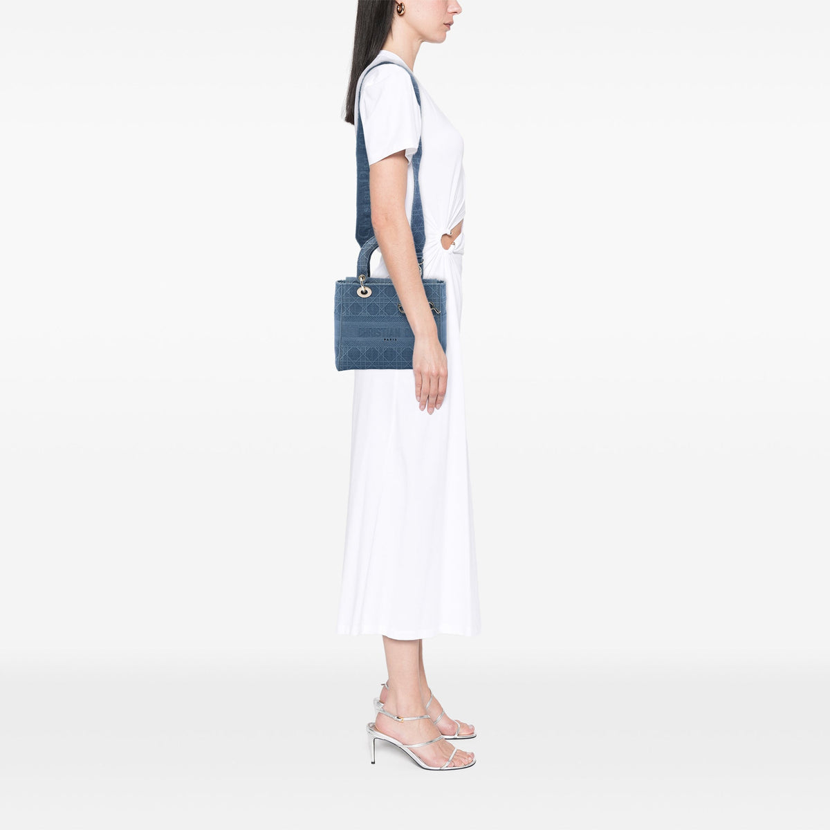 Dior Medium Embroidered Canvas Cannage Lady D Lite