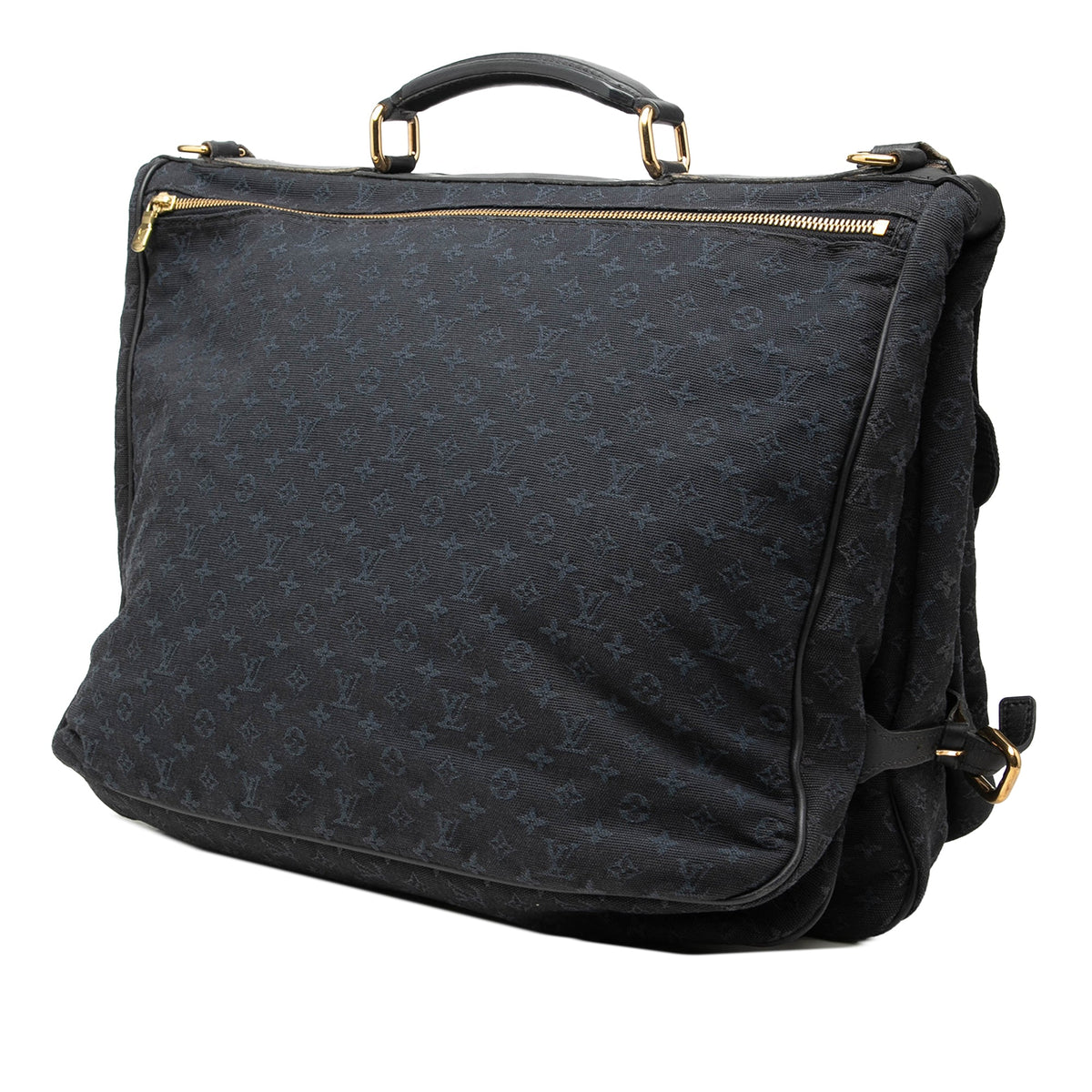 Louis Vuitton Monogram Mini Lin Denise