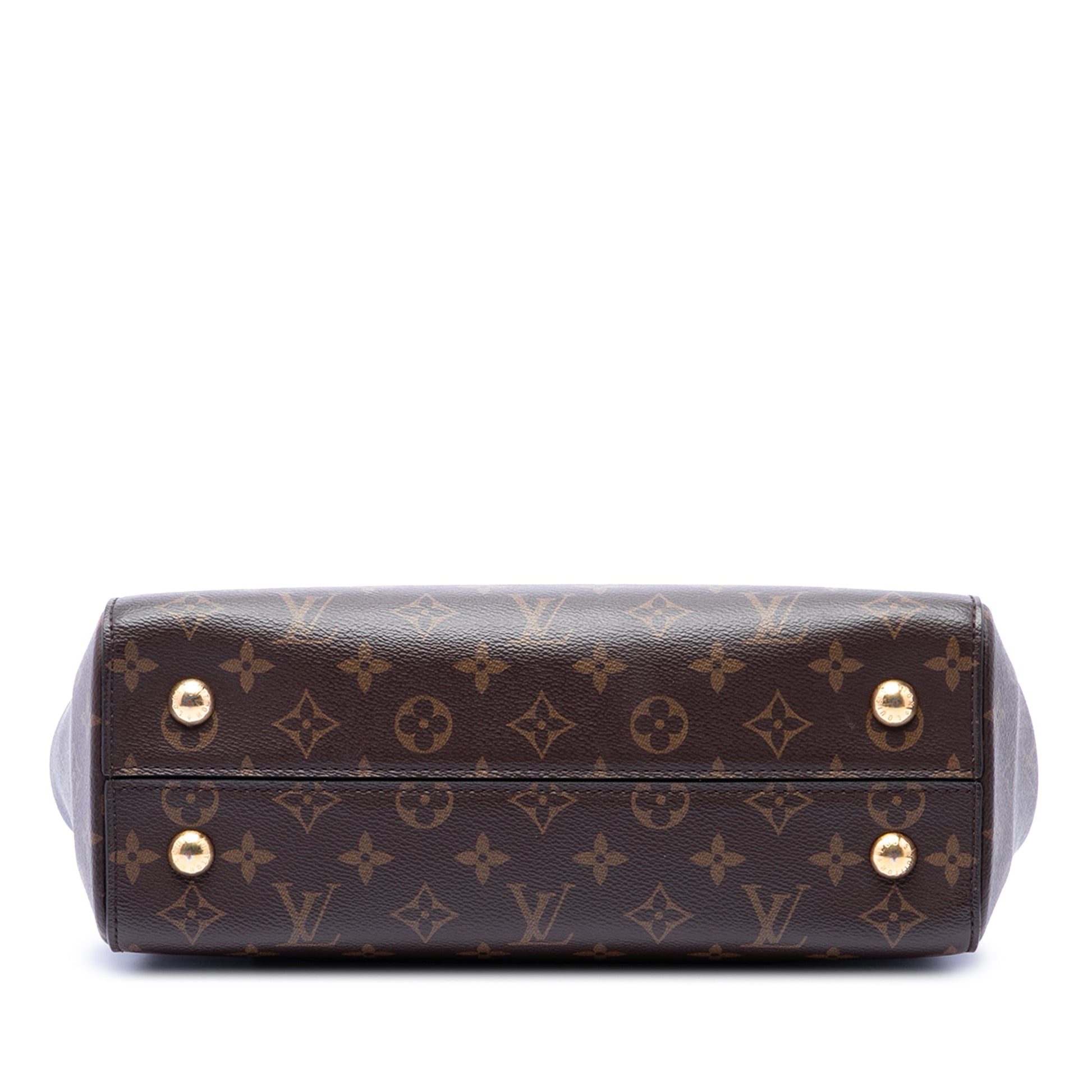 Louis Vuitton Monogram Cluny MM